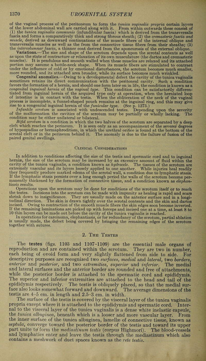 of the vaginal process of the peritoneum to form the tunica vaginalis propria certain layers of the lower abdominal wall are carried along with it. From within outwards these consist of (1) the tunica vaginalis communis (infundibular fascia) which is derived from the transversalis fascia and forms a comparatively thick and strong fibrous sheath; (2) the cremasteric fascia and muscle, derived as downward continuations of the muscle fibers of the internal oblique and transversalis muscles as well as the from the connective tissue fibers from their sheaths; (3) the intercolumnar fascia, a thinner coat derived from the aponeurosis of the external oblique. Variations.—The size and shape of the scrotum depends upon the scrotal contents as well as upon the state of contracture or relaxation of its own musculature (the dartos and cremasteric muscles). It is pendulous and smooth walled when these muscles are relaxed and its attached portion may assume a bottle-neck shape. When its muscle fibers are stimulated to contract under the influence of cold or by emotional disturbances, the scrotum becomes much smaller, more rounded, and its attached area broader, while its surface becomes much wrinkled. Congenital anomalies.—Owing to a developmental defect the cavity of the tunica vaginalis sometimes retains its direct communication with the peritoneal cavity. Such a condition favors the formation of a hernia, and should one form later on in life, the condition is known as a congenital inguinal hernia of the vaginal type. This condition can be satisfactorily differen¬ tiated from inguinal hernia of the acquired type only at operation, when the herniated loop of intestine is in contact with the testis. When the obliteration of the neck of the vaginal process is incomplete, a funnel-shaped pouch remains at the inguinal ring, and this may give rise to a congenital inguinal hernia of the funicular type. (See p. 1273.) Infantile scrotum is associated with undescended testes. Depending upon the severity of the malformation the cavities of the scrotum may be partially or wholly lacking. The condition may be either unilateral or bilateral. Bifid scrotum is a condition in which the two halves of the scrotum are separated by a deep cleft which reaches the perineum.’ It is seen only as an accompaniment of the severer degrees of hypospadias or hermaphroditism, in which the urethral orifice is found at the bottom of the scrotal cleft or in the perineum behind it. The anomaly is due to the failure of fusion of the paired genital swellings. Clinical Considerations In addition to conditions affecting the size of the testis and spermatic cord and to inguinal hernise, the size of the scrotum may be increased by an excessive amount of fluid within the cavity of the tunica vaginalis, a condition known as hydrocele. The tissues of the scrotum are extremely vascular and its layers loosely applied to one another. While injuries heal readily they frequently produce marked edema of the scrotal wall, a condition due to lymphatic stasis. If the lymphatic stasis persists over a long enough period the walls of the scrotum become per¬ manently thickened by the formation of connective tissue, and a condition known as elephan¬ tiasis results. Operations upon the scrotum may be done for conditions of the scrotum itself or to reach the testes. Incisions into the scrotum can be made with impunity as healing is rapid and scars shrink down to insignificance. They are usually made on the anterior surface and in a longi¬ tudinal direction. The skin is drawn tightly over the scrotal contents and the skin and dartos incised. Owing to contraction of the smooth muscle fibers the skin edges soon become inverted. If the remaining laminations are picked up with forceps and incised one at a time, at least 8 to 10 thin layers can be made out before the cavity of the tunica vaginalis is reached. In operations for carcinoma, elephantiasis, or for redundancy of the scrotum, partial ablation is usually made, the defect being covered by bringing the remaining edges of the scrotum together with sutures. 2. The Testes The testes (figs. 1103 and 1107-1109) are the essential male organs of reproduction and are contained within the scrotum. They are two in number, each being of ovoid form and very slightly flattened from side to side. For descriptive purposes are recognized two surfaces, medial and lateral, two borders, anterior and posterior, and two extremities, superior and inferior. The medial and lateral surfaces and the anterior border are rounded and free of attachments, while the posterior border is attached to the spermatic cord and epididymis. The superior and inferior extremities are attached to the head and tail of the epididymis respectively. The testis is obliquely placed, so that the medial sur¬ face also looks somewhat forward and downward. The average dimensions of the testis are 4-5 cm. in length and 2.5-3 cm. in width. The surface of the testis is covered by the visceral layer of the tunica vaginalis propria except where it is attached to the epididymis and spermatic cord. Inter¬ nal to the visceral layer of the tunica vaginalis is a dense white inelastic capsule, the tunica albuginea, beneath which is a looser and more vascular layer. From the inner surface of the tunica albuginea, lamellae of connective tissue, known as septula, converge toward the posterior border of the testis and toward its upper part unite to form the mediastinum testis (corpus Highmori). The blood-vessels and lymphatics enter and leave the testis through the mediastinum which also contains a meshwork of duct spaces known as the rete testis.