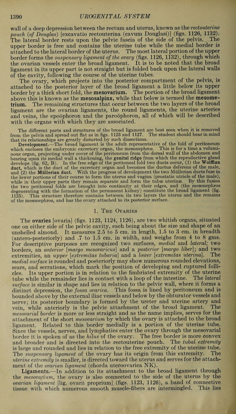 wall of a deep depression between the rectum and uterus, known as the rectouterine pouch (of Douglas) [excavatio rectouterina (cavum Douglasi)] (figs. 1126, 1132). The lateral border rests upon the pelvic fascia of the side of the pelvis. The upper border is free and contains the uterine tube while the medial border is attached to the lateral border of the uterus. The most lateral portion of the upper border forms the suspensory ligament of the ovary (figs. 1126, 1132), through which the ovarian vessels enter the broad ligament. It is to be noted that the broad ligament in its upper part is not straight but is folded back upon the lateral walls of the cavity, following the course of the uterine tubes. The ovary, which projects into the posterior compartment of the pelvis, is attached to the posterior layer of the broad ligament a little below its upper border by a thick short fold, the mesovarium. The portion of the broad ligament above this is known as the mesosalpinx, while that below is termed the mesome- trium. The remaining structures that occur between the two layers of the broad ligament are the ovarian ligaments, the round ligaments, the uterine arteries and veins, the epoophoron and the paroophoron, all of which will be described with the organs with which they are associated. The different parts and structures of the broad ligament are best seen when it is removed from the pelvis and spread out flat as in figs. 1123 and 1127. The student should bear in mind that its relationships are greatly distorted by such dissections. Development.—The broad ligament is the adult representative of the fold of peritoneum which encloses the embryonic excretory organ, the mesonephros. This is for a time a volumi¬ nous organ, projecting under cover of the peritoneum from the dorsal wall of the abdomen and bearing upon its medial wall a thickening, the genital ridge from which the reproductive gland develops (fig. 62, B). In the free edge of the peritoneal fold two ducts occur, (1) the Wolffian duct, which is the duct of the excretory organ and becomes the ductus deferens of the male, and (2) the Mullerian duct. With the progress of development the two Mullerian ducts fuse in the lower portions of their course to form the uterus and vagina (prostatic utricle of the male), while in their upper parts they remain separate and form the tubse uterinse. By this fusion the two peritoneal folds are brought into continuity at their edges, and (the mesonephros degenerating with the formation of the permanent kidney) constitute the broad ligament (fig. 1125). This structure therefore contains between its two layers the uterus and the remains of the mesonephros, and has the ovary attached to its posterior surface. 1. The Ovaries The ovaries [ovaria] (figs. 1123, 1124, 1126), are two whitish organs, situated one on either side of the pelvic cavity, each being about the size and shape of an unshelled almond. It measures 2.5 to 5 cm. in length, 1.5 to 3 cm. in breadth (antero-posteriorly) and .7 to 1.5 cm. in width, and weighs from 4 to 8 gms. For descriptive purposes are recognized two surfaces, medial and lateral; two borders, an anterior [margo mesovaricus] and a posterior [margo liber]-, and two extremities, an upper [extremitas tubaria] and a lower [extremitas uterina]. The medial surface is rounded and posteriorly may show numerous rounded elevations, scars, and serrations, which mark the position of developing and ruptured folli¬ cles. Its upper portion is in relation to the fimbriated extremity of the uterine tube while the remainder lies in contact with a loop of the intestine. The lateral surface is similar in shape and lies in relation to the pelvic wall, where it forms a distinct depression, the fossa ovarica. This fossa is lined by peritoneum and is bounded above by the external iliac vessels and below by the obturator vessels and nerve; its posterior boundary is formed by the ureter and uterine artery and vein, while anteriorly is the pelvic attachment of the broad ligament. The mesovarial border is more or less straight and as the name implies, serves for the attachment of the short mesovarium by which the ovary is attached to the broad ligament. Related to this border medially is a portion of the uterine tube. Since the vessels, nerves, and lymphatics enter the ovary through the mesovarial border it is spoken of as the hilus of the ovary. The free border is more convex and broader and is directed into the rectouterine pouch. The tubal extremity is large and rounded and lies in relation to the free extremity of the uterine tube. The suspensory ligament of the ovary has its origin from this extremity. The uterine extremity is smaller, is directed toward the uterus and serves for the attach¬ ment of the ovarian ligament (chorda uteroovarica NK). Ligaments.—In addition to its attachment to the broad ligament through the mesovarium, the ovary is also connected to the side of the uterus by the ovarian ligament [lig. ovarii proprium] (figs. 1123, 1126), a band of connective tissue with which numerous smooth muscle-fibers are intermingled. This lies