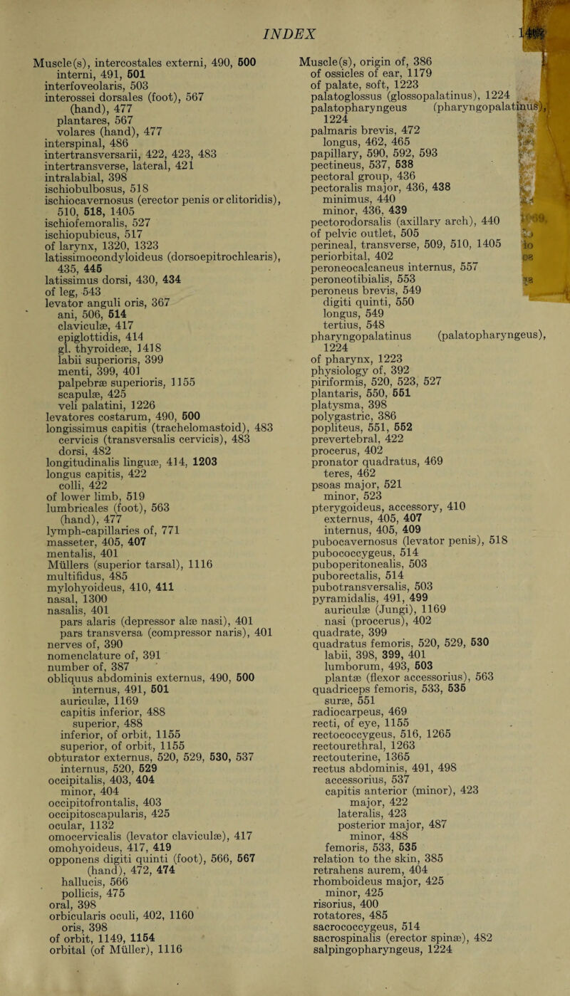 Muscle (s), intercostales externi, 490, 500 interni, 491, 501 interfoveolaris, 503 interossei dorsales (foot), 567 (hand), 477 plantares, 567 volares (hand), 477 interspinal, 486 intertransversarii, 422, 423, 483 intertransverse, lateral, 421 intralabial, 398 ischiobulbosus, 518 ischiocavernosus (erector penis or clitoridis), 510, 518, 1405 ischiofemoralis, 527 ischiopubicus, 517 of larynx, 1320, 1323 latissimocondyloideus (dorsoepitrochlearis), 435, 445 latissimus dorsi, 430, 434 of leg, 543 levator anguli oris, 367 ani, 506, 514 claviculse, 417 epiglottidis, 414 gl. thyroidese, 1418 labii superioris, 399 menti, 399, 401 palpebrse superioris, 1155 scapulae, 425 veli palatini, 1226 levatores costarum, 490, 500 longissimus capitis (trachelomastoid), 483 cervicis (transversalis cervicis), 483 dorsi, 482 longitudinalis linguae, 414, 1203 longus capitis, 422 colli, 422 of lower limb, 519 lumbricales (foot), 563 (hand), 477 lymph-capillaries of, 771 masseter, 405, 407 mentalis, 401 Mullers (superior tarsal), 1116 multifidus, 485 mylohyoideus, 410, 411 nasal, 1300 nasalis, 401 pars alaris (depressor alae nasi), 401 pars transversa (compressor naris), 401 nerves of, 390 nomenclature of, 391 number of, 387 obliquus abdominis externus, 490, 500 internus, 491, 501 auriculae, 1169 capitis inferior, 488 superior, 488 inferior, of orbit, 1155 superior, of orbit, 1155 obturator externus, 520, 529, 530, 537 internus, 520, 529 occipitalis, 403, 404 minor, 404 occipitofrontalis, 403 occipitoscapularis, 425 ocular, 1132 omocervicalis (levator claviculae), 417 omohyoideus, 417, 419 opponens digiti quinti (foot), 566, 567 (hand), 472, 474 hallucis, 566 pollicis, 475 oral, 398 orbicularis oculi, 402, 1160 oris, 398 of orbit, 1149, 1154 orbital (of Muller), 1116 Muscle (s), origin of, 386 of ossicles of ear, 1179 of palate, soft, 1223 palatoglossus (glossopalatinus), 1224 palatopharyngeus (pharyngopalatinu 1224 palmaris brevis, 472 longus, 462, 465 papillary, 590, 592, 593 pectineus, 537, 538 pectoral group, 436 pectoralis major, 436, 438 minimus, 440 minor, 436, 439 pectorodorsalis (axillary arch), 440 of pelvic outlet, 505 perineal, transverse, 509, 510, 1405 periorbital, 402 peroneocalcaneus internus, 557 peroneotibialis, 553 peroneus brevis, 549 digiti quinti, 550 longus, 549 tertius, 548 pharvngopalatinus 1224 (palatopharyngeus), of pharynx, 1223 physiology of, 392 piriformis, 520, 523, 527 plantaris, 550, 551 platysma, 398 polygastric, 386 popliteus, 551, 552 prevertebral, 422 procerus, 402 pronator quadratus, 469 teres, 462 psoas major, 521 minor, 523 pterygoideus, accessory, 410 externus, 405, 407 internus, 405, 409 pubocavernosus (levator penis), 518 pubococcygeus, 514 puboperitonealis, 503 puborectalis, 514 pubotransversalis, 503 pyramidalis, 491, 499 auriculae (Jungi), 1169 nasi (procerus), 402 quadrate, 399 quadratus femoris, 520, 529, 530 labii, 398, 399, 401 lumborum, 493, 503 plantae (flexor accessorius), 563 quadriceps femoris, 533, 535 surse, 551 radiocarpeus, 469 recti, of eye, 1155 rectococcygeus, 516, 1265 rectourethral, 1263 rectouterine, 1365 rectus abdominis, 491, 498 accessorius, 537 capitis anterior (minor), 423 major, 422 lateralis, 423 posterior major, 487 minor, 488 femoris, 533, 535 relation to the skin, 385 retrahens aurem, 404 rhomboideus major, 425 minor, 425 risorius, 400 rotatores, 485 sacrococcygeus, 514 sacrospinalis (erector spinee), 482 salpingopharyngeus, 1224