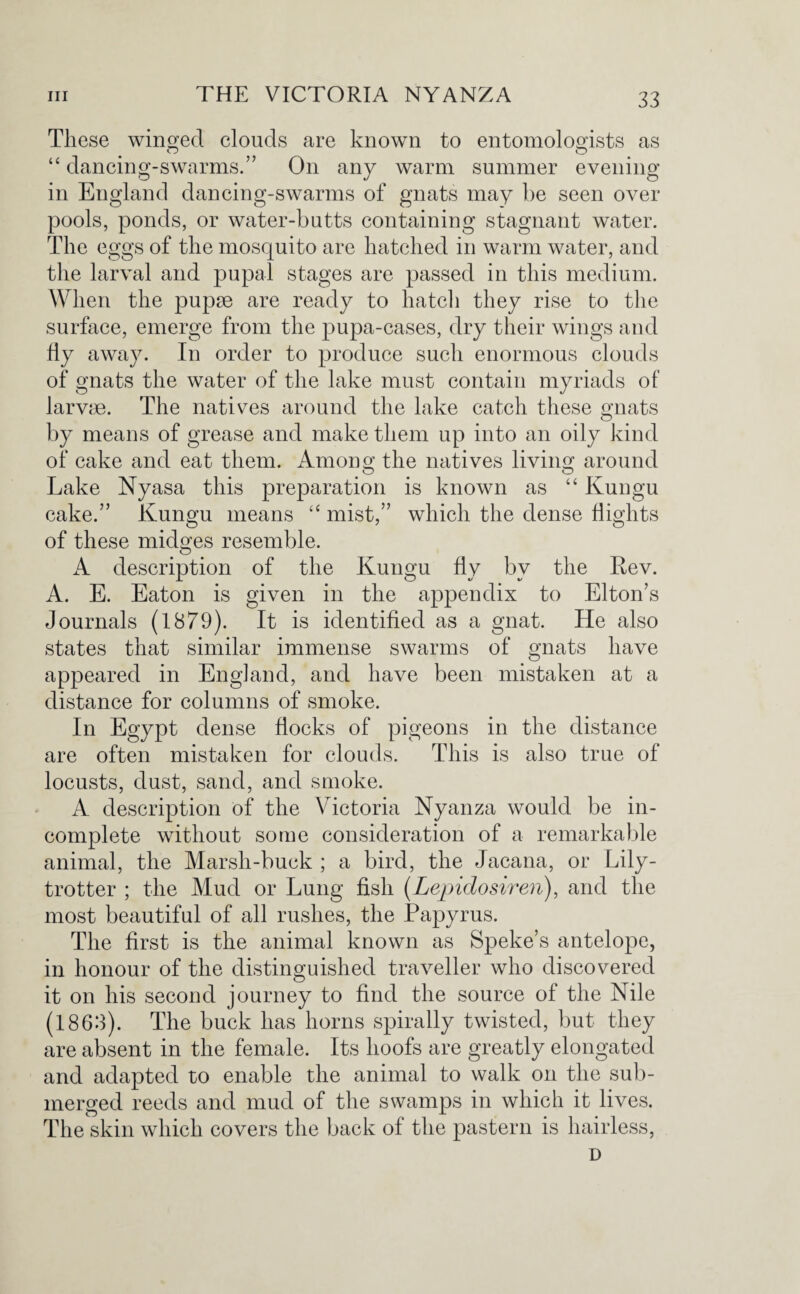 These winded clouds are known to entomologists as “ dancing-swarms.” On any warm summer evening in England dancing-swarms of gnats may be seen over pools, ponds, or water-butts containing stagnant water. The eggs of the mosquito are hatched in warm water, and the larval and pupal stages are passed in this medium. When the pupae are ready to hatch they rise to the surface, emerge from the pupa-cases, dry their wings and fly away. In order to produce such enormous clouds of gnats the water of the lake must contain myriads of larvae. The natives around the lake catch these gnats by means of grease and make them up into an oily kind of cake and eat them. Among the natives living around Lake Nyasa this preparation is known as “ Kungu cake.” Kungu means “ mist,” which the dense flights of these midges resemble. A description of the Kungu fly bv the Rev. A. E. Eaton is given in the appendix to Elton’s Journals (1879). It is identified as a gnat. He also states that similar immense swarms of gnats have appeared in England, and have been mistaken at a distance for columns of smoke. In Egypt dense flocks of pigeons in the distance are often mistaken for clouds. This is also true of locusts, dust, sand, and smoke. A description of the Victoria Nyanza would be in¬ complete without some consideration of a remarkable animal, the Marsh-buck ; a bird, the Jacana, or Lily- trotter ; the Mud or Lung fish (Lepidosiren), and the most beautiful of all rushes, the Papyrus. The first is the animal known as Speke’s antelope, in honour of the distinguished traveller who discovered it on his second journey to find the source of the Nile (1863). The buck has horns spirally twisted, but they are absent in the female. Its hoofs are greatly elongated and adapted to enable the animal to walk on the sub¬ merged reeds and mud of the swamps in which it lives. The skin which covers the back of the pastern is hairless, D