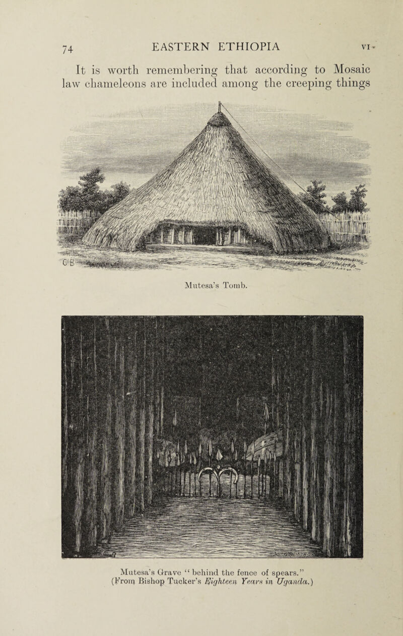 It is worth remembering that according to Mosaic law chameleons are included among the creeping things Mutesa’s Tomb. Mutesa’s Grave “ behind the fence of spears.” (From Bishop Tucker’s EJighteen Years in Uganda.)