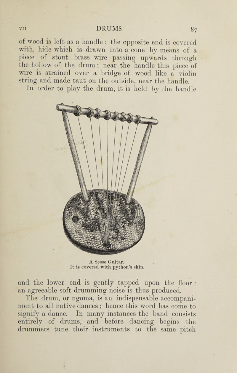 of wood is left as a handle : the opposite end is covered with, hide which is drawn into a cone by means of a piece of stout brass wire passing upwards through the hollow of the drum : near the handle this piece of wire is strained over a bridge of wood like a violin string and made taut on the outside, near the handle. In order to play the drum, it is held by the handle A Sesse Guitar. It is covered with python’s skin. and the lower end is gently tapped upon the floor : an agreeable soft drumming noise is thus produced. The drum, or ngoma, is an indispensable accompani¬ ment to all native dances ; hence this word has come to signify a dance. In many instances the band consists entirely of drums, and before dancing begins the drummers tune their instruments to the same pitch