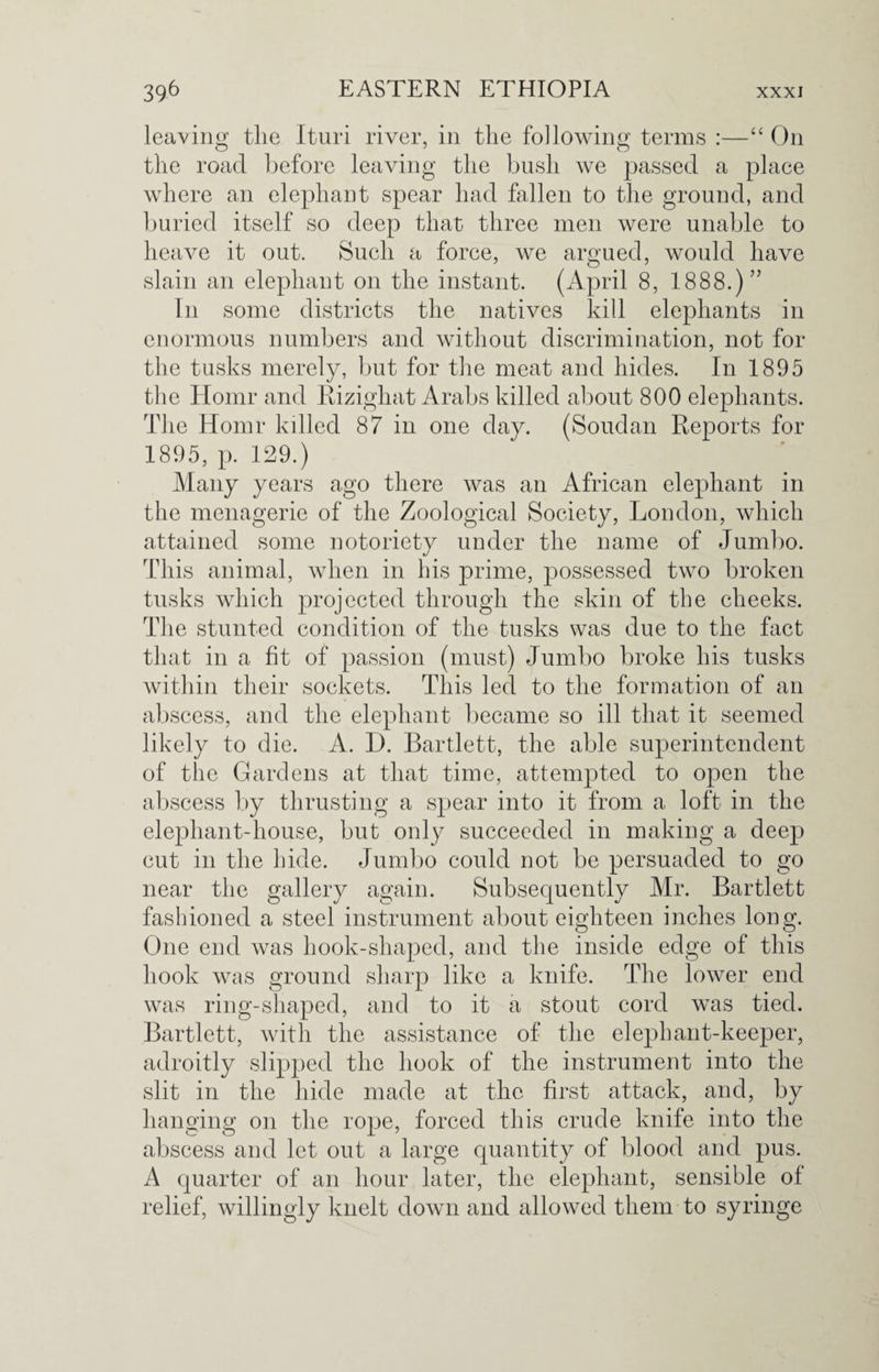 leaving the Ituri river, in the following terms :—“ On the road before leaving the bush we passed a place where an elephant spear had fallen to the ground, and buried itself so deep that three men were unable to heave it out. Such a force, we argued, would have slain an elephant on the instant. (April 8, 1888.)” In some districts the natives kill elephants in enormous numbers and without discrimination, not for the tusks merely, but for the meat and hides. In 1895 the Homr and Eizighat Arabs killed about 800 elephants. The Homr killed 87 in one day. (Soudan Reports for 1895, p. 129.) Many years ago there was an African elephant in the menagerie of the Zoological Society, London, which attained some notoriety under the name of Jumbo. This animal, when in his prime, possessed two broken tusks which projected through the skin of the cheeks. The stunted condition of the tusks was due to the fact that in a fit of passion (must) Jumbo broke his tusks within their sockets. This led to the formation of an abscess, and the elephant became so ill that it seemed likely to die. A. D. Bartlett, the able superintendent of the Gardens at that time, attempted to open the abscess by thrusting a spear into it from a loft in the elephant-house, but only succeeded in making a deep cut in the hide. Jumbo could not be persuaded to go near the gallery again. Subsequently Mr. Bartlett fashioned a steel instrument about eighteen inches long. One end was hook-shaped, and the inside edge of this hook was ground sharp like a knife. The lower end was ring-shaped, and to it a stout cord was tied. Bartlett, with the assistance of the elephant-keeper, adroitly slipped the hook of the instrument into the slit in the hide made at the first attack, and, by hanging on the rope, forced this crude knife into the abscess and let out a large quantity of blood and pus. A quarter of an hour later, the elephant, sensible of relief, willingly knelt down and allowed them to syringe