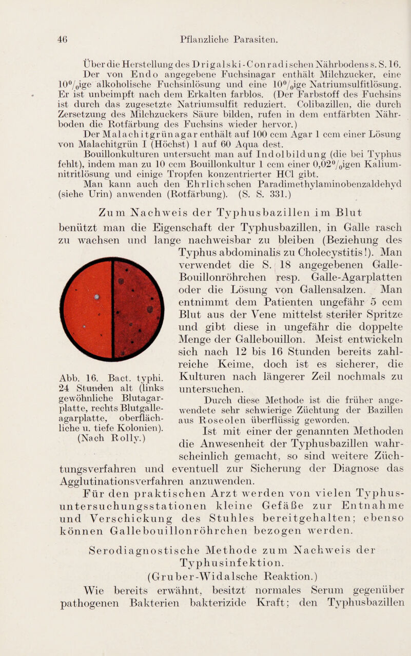 Über die Herstellung des Drigalski-Conradischen Nährbodens s. S. 16. Der von Endo angegebene Fuchsinagar enthält Milchzucker, eine 10%ige alkoholische Fuchsinlösung und eine 10°/0ige Natriumsulfitlösung. Er ist unbeimpft nach dem Erkalten farblos. (Der Farbstoff des Fuchsins ist durch das zugesetzte Natriumsulfit reduziert. Colibazillen, die durch Zersetzung des Milchzuckers Säure bilden, rufen in dem entfärbten Nähr¬ boden die Rotfärbung des Fuchsins wieder hervor.) Der Malachitgrünagar enthält auf 100 ccm Agar 1 ccm einer Lösung von Malachitgrün I (Höchst) 1 auf 60 x4qua dest. Bouillonkulturen untersucht man auf Indolbildung (die bei Typhus fehlt), indem man zu 10 ccm Bouillonkultur 1 ccm einer 0,02o/oigen Kalium¬ nitritlösung und einige Tropfen konzentrierter HCl gibt. Man kann auch den Eh rlich sehen Paradimethylaminobenzaldehyd (siehe Urin) anwenden (Rotfärbung). (S. S. 331.) Zum Nachweis der Typhusbazillen im Blut benützt man die Eigenschaft der Typhusbazillen, in Galle rasch zu wachsen und lange nachweisbar zu bleiben (Beziehung des Typhus abdominalis zu Cholecystitis!). Man verwendet die S. 18 angegebenen Galle- Bouillonröhrchen resp. Galle-Agarplatten oder die Lösung von Gallensalzen. Man entnimmt dem Patienten ungefähr 5 ccm Blut aus der Vene mittelst steriler Spritze und gibt diese in ungefähr die doppelte Menge der Gallebouillon. Meist entwickeln sich nach 12 bis 16 Stunden bereits zahl¬ reiche Keime, doch ist es sicherer, die Kulturen nach längerer Zeil nochmals zu untersuchen. Durch diese Methode ist die früher ange¬ wendete sehr schwierige Züchtung der Bazillen aus Roseolen überflüssig geworden. Ist mit einer der genannten Methoden die Anwesenheit der Typhusbazillen wahr¬ scheinlich gemacht, so sind weitere Züch¬ tungsverfahren und eventuell zur Sicherung der Diagnose das Agglutinationsverfahren anzuwenden. Für den praktischen Arzt werden von vielen Typhus¬ untersuchungsstationen kleine Gefäße zur Entnahme und Verschickung des Stuhles bereitgehalten; ebenso können Gallebouillonröhrchen bezogen werden. Serodiagnostische Methode zum Nachweis der Typhusinfektion. (G r u b e r -Wi d a 1 sehe Reaktion.) Wie bereits erwähnt, besitzt normales Serum gegenüber pathogenen Bakterien bakterizide Kraft; den Typhusbazillen F L t Abb. 16. Bact. typhi. 24 Stunden alt (links gewöhnliche Blutagar¬ platte, rechts Blutgalle¬ agarplatte, oberfläch¬ liche u. tiefe Kolonien). (Nach Rolly.)