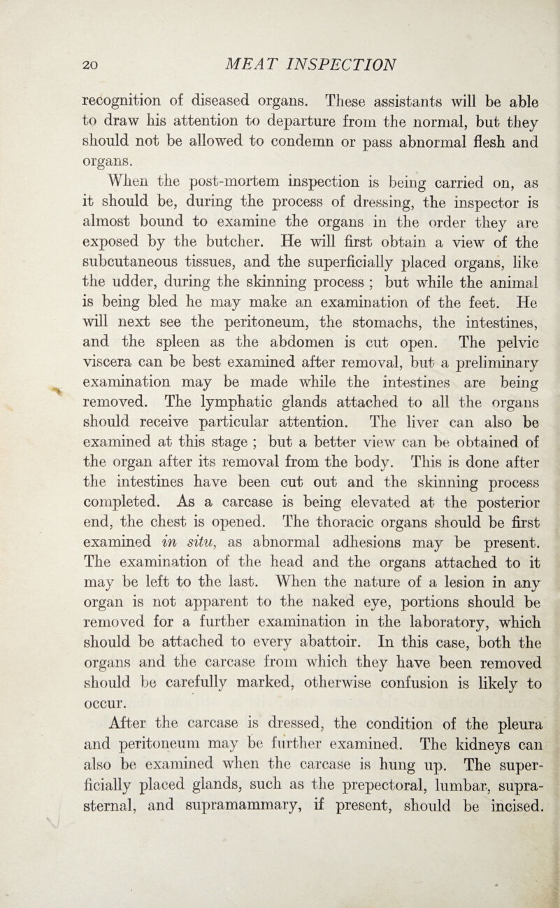 recognition of diseased organs. These assistants will be able to draw his attention to departure from the normal, but they should not be allowed to condemn or pass abnormal flesh and organs. When the post-mortem inspection is being carried on, as it should be, during the process of dressing, the inspector is almost bound to examine the organs in the order they are exposed by the butcher. He will first obtain a view of the subcutaneous tissues, and the superficially placed organs, like the udder, during the skinning process ; but while the animal is being bled he may make an examination of the feet. He will next see the peritoneum, the stomachs, the intestines, and the spleen as the abdomen is cut open. The pelvic viscera can be best examined after removal, but a preliminary examination may be made while the intestines are being removed. The lymphatic glands attached to all the organs should receive particular attention. The liver can also be examined at this stage ; but a better view can be obtained of the organ after its removal from the body. This is done after the intestines have been cut out and the skinning process completed. As a carcase is being elevated at the posterior end, the chest is opened. The thoracic organs should be first examined in situ, as abnormal adhesions may be present. The examination of the head and the organs attached to it may be left to the last. When the nature of a lesion in any organ is not apparent to the naked eye, portions should be removed for a further examination in the laboratory, which should be attached to every abattoir. In this case, both the organs and the carcase from which they have been removed should be carefully marked, otherwise confusion is likely to occur. After the carcase is dressed, the condition of the pleura and peritoneum may be further examined. The kidneys can also be examined when the carcase is hung up. The super¬ ficially placed glands, such as the prepectoral, lumbar, supra¬ sternal, and supramammary, if present, should be incised.