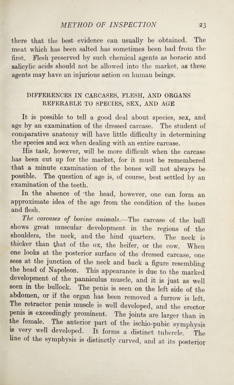there that the best evidence can usually be obtained. The meat which has been salted has sometimes been bad from the first. Flesh preserved by such chemical agents as boracic and salicylic acids should not be allowed into the market, as these agents may have an injurious action on human beings. DIFFERENCES IN CARCASES, FLESH, AND ORGANS REFERABLE TO SPECIES, SEX, AND AGE It is possible to tell a good deal about species, sex, and age by an examination of the dressed carcase. The student of comparative anatomy will have little difficulty in determining the species and sex when dealing with an entire carcase. His task, however, will be more difficult when the carcase has been cut up for the market, for it must be remembered that a minute examination of the bones will not always be possible. The question of age is, of course, best settled by an examination of the teeth. In the absence of 'the head, however, one can form an approximate idea of the age from the condition of the bones and flesh. The carcases of bovine animals.—The carcase of the bull shows great muscular development in the regions of the shouldeis, the neck, and the hind quarters. The neck is thicker than that of the ox, the heifer, or the cow. When one looks at the posterior surface of the dressed carcase, one sees at the junction of the neck and back a figure resembling the head of Napoleon. This appearance is due to the marked development of the panniculus muscle, and it is just as well seen in the bullock. The penis is seen on the left side of the abdomen, or if the organ has been removed a furrow is left. The retractor penis muscle is well developed, and the erector penis is exceedingly prominent. The joints are larger than in the female. The anterior part of the ischio-pubic symphysis is very well developed. It forms a distinct tubercle. The line of the symphysis is distinctly curved, and at its posterior
