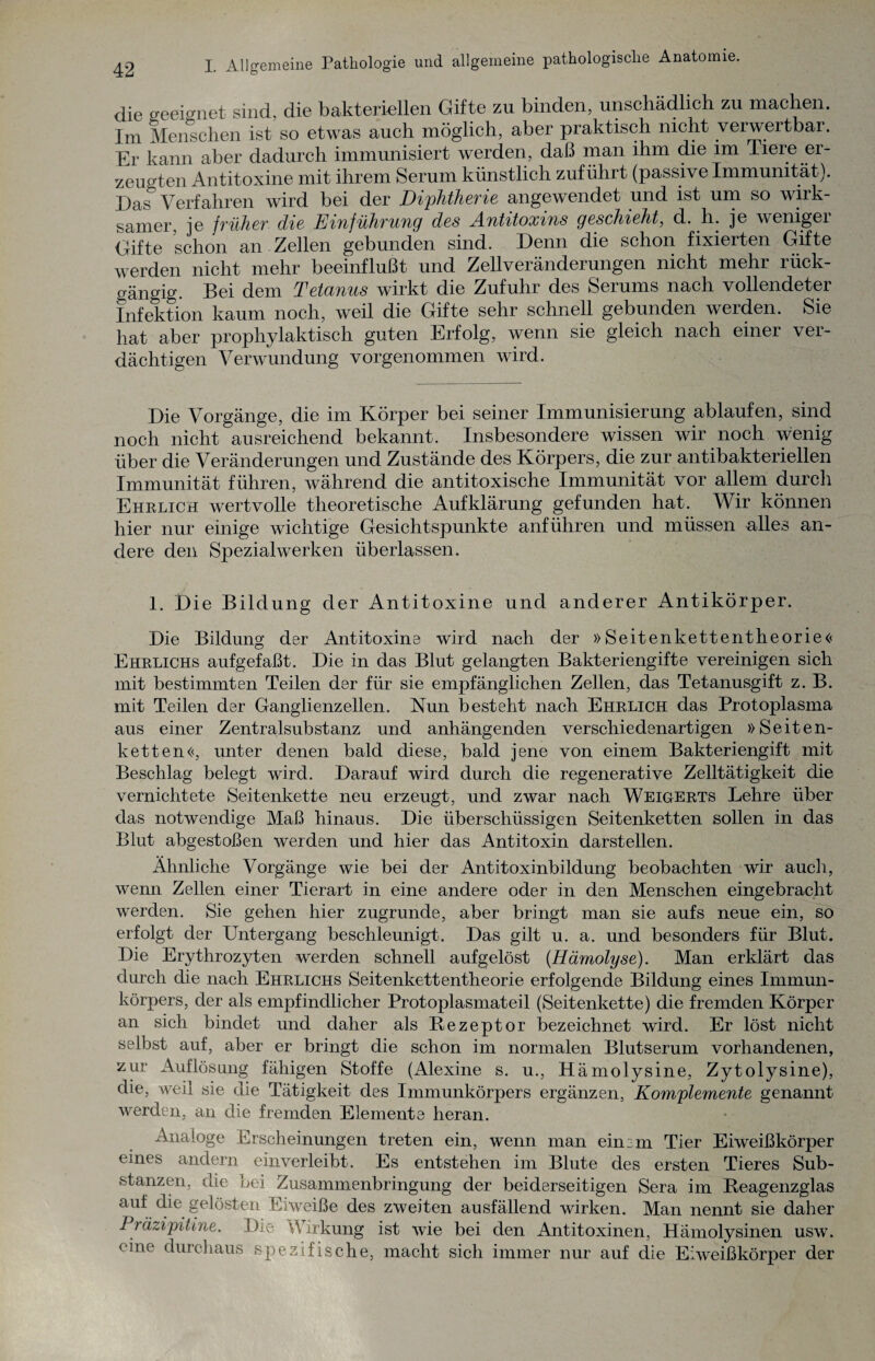 die geeignet sind, die bakteriellen Gifte zu binden, unschädlich zu machen. Im Menschen ist so etwas auch möglich, aber praktisch nicht verwertbar. Er kann aber dadurch immunisiert werden, daß man ihm die im Tiere er¬ zeugten Antitoxine mit ihrem Serum künstlich zuführt (passive Immunität). Das Verfahren wird bei der Diphtherie angewendet und ist um so wirk¬ samer, je früher die Einführung des Antitoxins geschieht, d. h. je wenigei Gifte schon an Zellen gebunden sind. Denn die schon fixierten Gifte werden nicht mehr beeinflußt und Zellveränderungen nicht mehr rück¬ gängig. Bei dem Tetanus wirkt die Zufuhr des Serums nach vollendeter Infektion kaum noch, weil die Gifte sehr schnell gebunden werden. Sie hat aber prophylaktisch guten Erfolg, wenn sie gleich nach einer ver¬ dächtigen Verwundung vorgenommen wird. Die Vorgänge, die im Körper bei seiner Immunisierung ablaufen, sind noch nicht ausreichend bekannt. Insbesondere wissen wir noch wenig über die Veränderungen und Zustände des Körpers, die zur antibakteriellen Immunität führen, während die antitoxische Immunität vor allem durch Ehrlich wertvolle theoretische Aufklärung gefunden hat. Wir können hier nur einige wichtige Gesichtspunkte anführen und müssen alles an¬ dere den Spezialwerken überlassen. 1. Die Bildung der Antitoxine und anderer Antikörper. Die Bildung der Antitoxine wird nach der »Seitenkettentheorie<< Ehrlichs aufgefaßt. Die in das Blut gelangten Bakteriengifte vereinigen sich mit bestimmten Teilen der für sie empfänglichen Zellen, das Tetanusgift z. B. mit Teilen der Ganglienzellen. Nun besteht nach Ehrlich das Protoplasma aus einer Zentralsubstanz und anhängenden verschiedenartigen »Seiten¬ ketten«, unter denen bald diese, bald jene von einem Bakteriengift mit Beschlag belegt wird. Darauf wird durch die regenerative Zelltätigkeit die vernichtete Seitenkette neu erzeugt, und zwar nach Weigerts Lehre über das notwendige Maß hinaus. Die überschüssigen Seitenketten sollen in das Blut abgestoßen werden und hier das Antitoxin darstellen. Ähnliche Vorgänge wie bei der Antitoxinbildung beobachten wir auch, wenn Zellen einer Tierart in eine andere oder in den Menschen eingebracht werden. Sie gehen hier zugrunde, aber bringt man sie aufs neue ein, so erfolgt der Untergang beschleunigt. Das gilt u. a. und besonders für Blut. Die Erythrozyten werden schnell aufgelöst {Hämolyse). Man erklärt das durch die nach Ehrlichs Seitenkettentheorie erfolgende Bildung eines Immun¬ körpers, der als empfindlicher Protoplasmateil (Seitenkette) die fremden Körper an sich bindet und daher als Rezeptor bezeichnet wird. Er löst nicht selbst auf, aber er bringt die schon im normalen Blutserum vorhandenen, zur Auflösung fähigen Stoffe (Alexine s. u., Hämolysine, Zytolysine), die, weil sie die Tätigkeit des Immunkörpers ergänzen, Komplemente genannt werden, an die fremden Elemente heran. Analoge Erscheinungen treten ein, wenn man einem Tier Eiweißkörper eines andern einverleibt. Es entstehen im Blute des ersten Tieres Sub¬ stanzen, die bei Zusammenbringung der beiderseitigen Sera im Reagenzglas auf die gelösten Eiweiße des zweiten ausfällend wirken. Man nennt sie daher Präzipitine. Die Wirkung ist wie bei den Antitoxinen, Hämolysinen usw. eine durchaus spezifische, macht sich immer nur auf die Eiweißkörper der