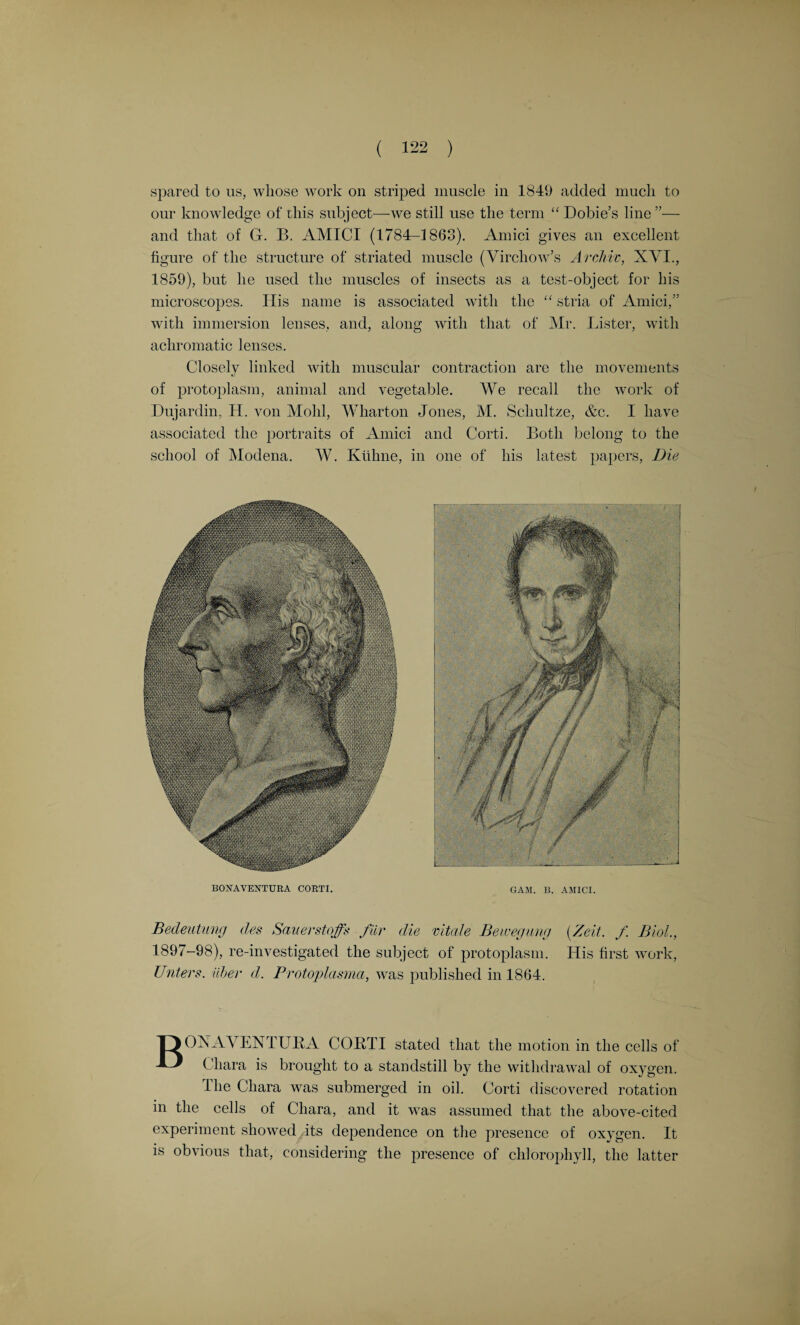 spared to us, whose work on striped muscle in 1849 added much to our knowledge of this subject—we still use the term “ Dobie’s line ”— and that of G. B. AMICI (1784-1863). Amici gives an excellent figure of the structure of striated muscle (Virchow’s Archiv, XVI., 1859), but he used the muscles of insects as a test-object for his microscopes. His name is associated with the “ stria of Amici,” with immersion lenses, and, along with that of Mr. Lister, with achromatic lenses. Closely linked with muscular contraction are the movements of protoplasm, animal and vegetable. We recall the work of Dujardin, H. von Mold, Wharton Jones, M. Scliultze, &c. I have associated the portraits of Amici and Corti. Both belong to the school of Modena. W. Ktihne, in one of his latest papers, Die BONAVENTURA CORTI. GAM. B. AMICI. Bedeutung des Sauer staff* fiir die vitale Bewegung (Zeit. f Biol., 1897-98), re-investigated the subject of protoplasm. His first work, Unters. iiber d. Protoplasma, was published in 1864. BONAVENTURA CORTI stated that the motion in the cells of Cliara is brought to a standstill by the withdrawal of oxygen. The Chara was submerged in oil. Corti discovered rotation in the cells of Chara, and it was assumed that the above-cited experiment showed its dependence on the presence of oxygen. It is obvious that, considering the presence of chlorophyll, the latter