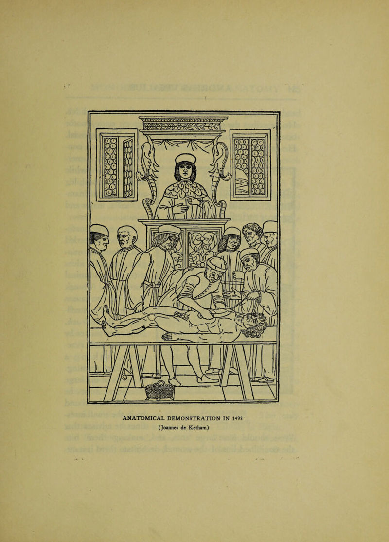 T ANATOMICAL DEMONSTRATION IN 1493 (Joannes de Ketham)