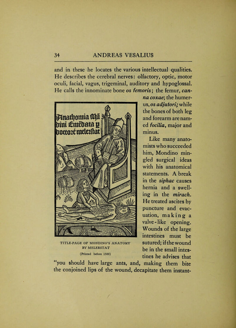 and in these he locates the various intellectual qualities. He describes the cerebral nerves: olfactory, optic, motor oculi, facial, vagus, trigeminal, auditory and hypoglossal. He calls the innominate bone os femoris; the femur, can- na coxae; the humer¬ us, os adjutori; while the bones of both leg and forearm are nam¬ ed focilia, major and minus. Like many anato¬ mists who succeeded him, Mondino min¬ gled surgical ideas with his anatomical statements. A break in the siphac causes hernia and a swell¬ ing in the mirach. He treated ascites by puncture and evac¬ uation, making a valve - like opening. Wounds of the large intestines must be sutured; if the wound be in the small intes¬ tines he advises that “you should have large ants, and, making them bite the conjoined lips of the wound, decapitate them instant- TITLE-PAGE OF MONDINO’S ANATOMY BY MELERSTAT (Printed before 1500)