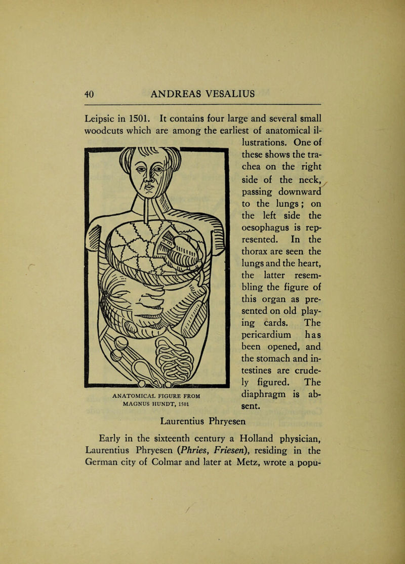 Leipsic in 1501. It contains four large and several small woodcuts which are among the earliest of anatomical il¬ lustrations. One of these shows the tra¬ chea on the right side of the neck, passing downward to the lungs; on the left side the oesophagus is rep¬ resented. In the thorax are seen the lungs and the heart, the latter resem¬ bling the figure of this organ as pre¬ sented on old play¬ ing cards. The pericardium has been opened, and the stomach and in¬ testines are crude¬ ly figured. The diaphragm is ab¬ sent. ANATOMICAL FIGURE FROM MAGNUS IIUNDT, 1501 Laurentius Phryesen Early in the sixteenth century a Holland physician, Laurentius Phryesen (Phries, Friesen), residing in the German city of Colmar and later at Metz, wrote a popu-