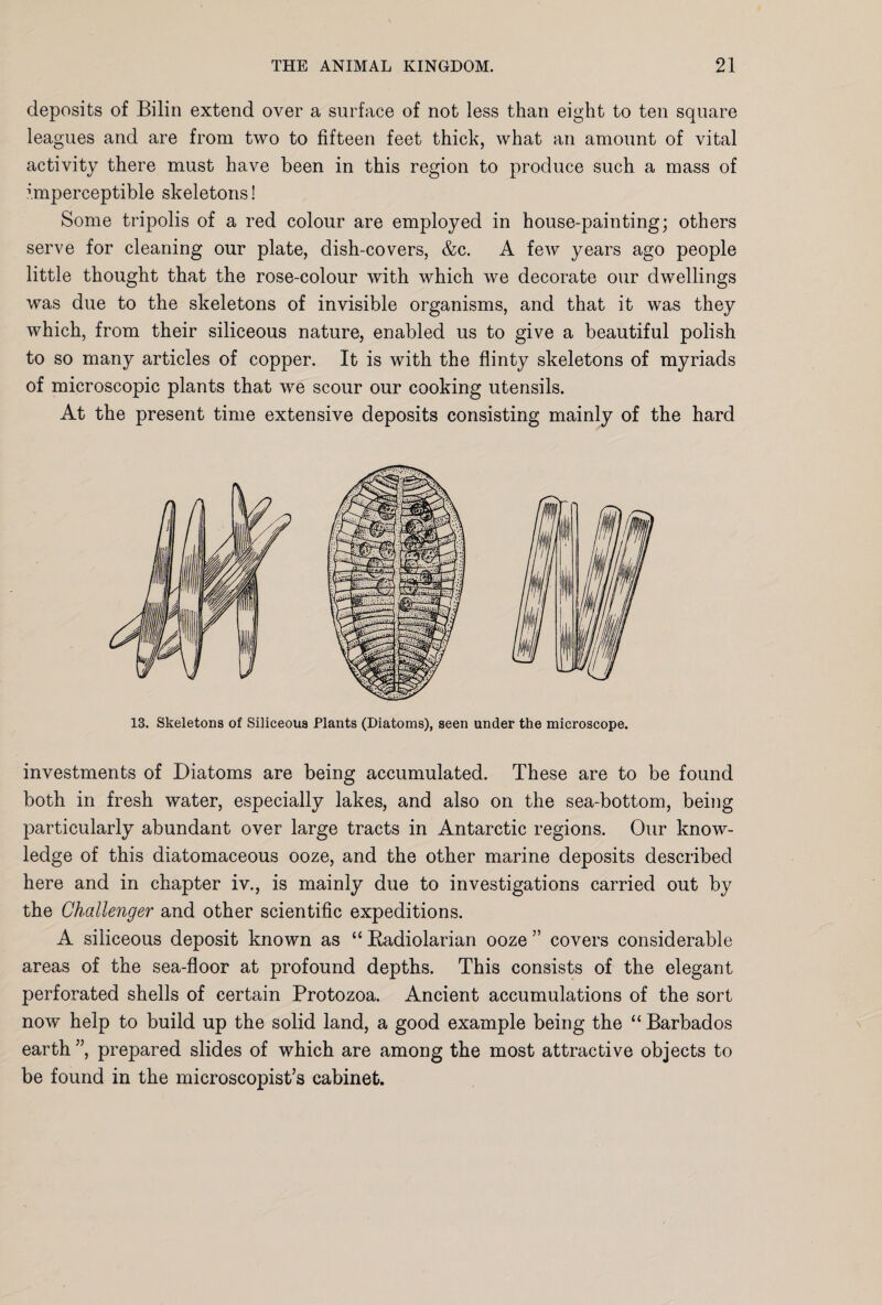 deposits of Bilin extend over a surface of not less than eight to ten square leagues and are from two to fifteen feet thick, what an amount of vital activity there must have been in this region to produce such a mass of imperceptible skeletons! Some tripolis of a red colour are employed in house-painting; others serve for cleaning our plate, dish-covers, &c. A few years ago people little thought that the rose-colour with which we decorate our dwellings was due to the skeletons of invisible organisms, and that it was they which, from their siliceous nature, enabled us to give a beautiful polish to so many articles of copper. It is with the flinty skeletons of myriads of microscopic plants that we scour our cooking utensils. At the present time extensive deposits consisting mainly of the hard 13. Skeletons of Siliceous Plants (Diatoms), seen under the microscope. investments of Diatoms are being accumulated. These are to be found both in fresh water, especially lakes, and also on the sea-bottom, being particularly abundant over large tracts in Antarctic regions. Our know¬ ledge of this diatomaceous ooze, and the other marine deposits described here and in chapter iv., is mainly due to investigations carried out by the Challenger and other scientific expeditions. A siliceous deposit known as “ Radiolarian ooze ” covers considerable areas of the sea-floor at profound depths. This consists of the elegant perforated shells of certain Protozoa. Ancient accumulations of the sort now help to build up the solid land, a good example being the “ Barbados earth ”, prepared slides of which are among the most attractive objects to be found in the microscopist’s cabinet.