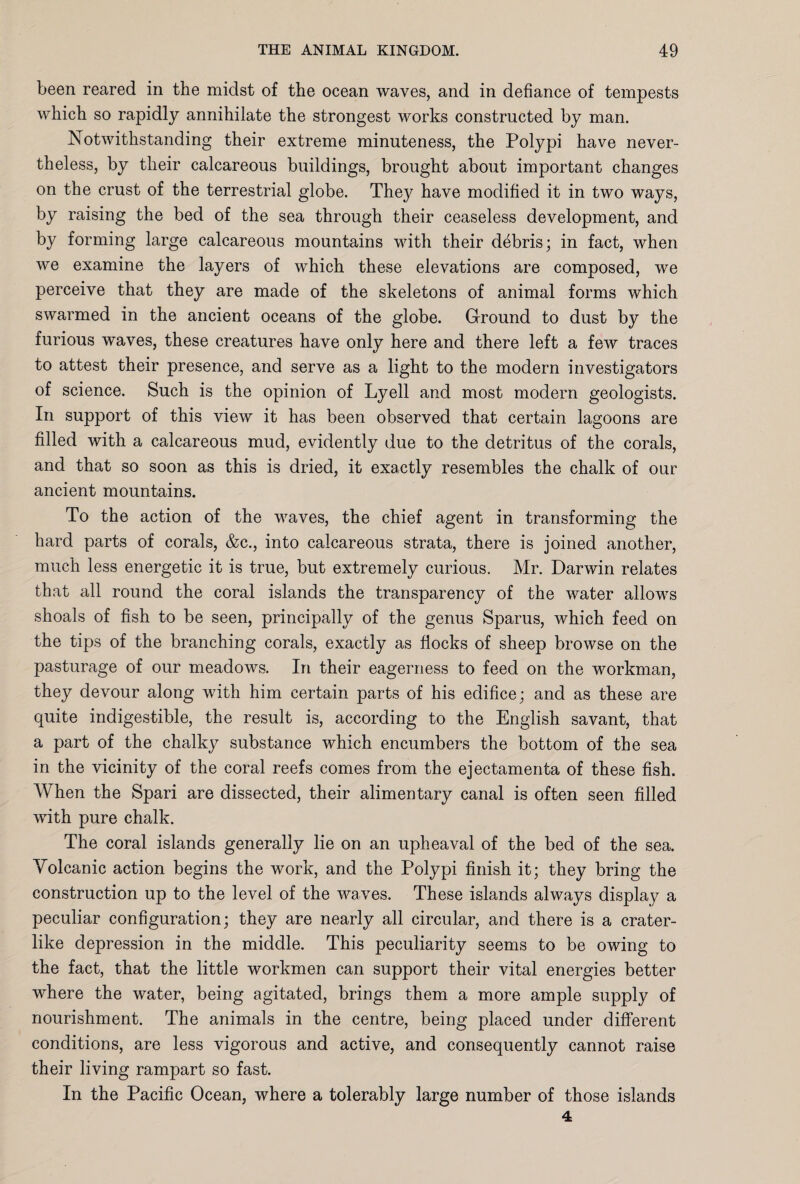 been reared in the midst of the ocean waves, and in defiance of tempests which so rapidly annihilate the strongest works constructed by man. Notwithstanding their extreme minuteness, the Polypi have never¬ theless, by their calcareous buildings, brought about important changes on the crust of the terrestrial globe. They have modified it in two ways, by raising the bed of the sea through their ceaseless development, and by forming large calcareous mountains with their debris; in fact, when we examine the layers of which these elevations are composed, we perceive that they are made of the skeletons of animal forms which swarmed in the ancient oceans of the globe. Ground to dust by the furious waves, these creatures have only here and there left a few traces to attest their presence, and serve as a light to the modern investigators of science. Such is the opinion of Lyell and most modern geologists. In support of this view it has been observed that certain lagoons are filled with a calcareous mud, evidently due to the detritus of the corals, and that so soon as this is dried, it exactly resembles the chalk of our ancient mountains. To the action of the waves, the chief agent in transforming the hard parts of corals, &c., into calcareous strata, there is joined another, much less energetic it is true, but extremely curious. Mr. Darwin relates that all round the coral islands the transparency of the water allows shoals of fish to be seen, principally of the genus Sparus, which feed on the tips of the branching corals, exactly as flocks of sheep browse on the pasturage of our meadows. In their eagerness to feed on the workman, they devour along with him certain parts of his edifice; and as these are quite indigestible, the result is, according to the English savant, that a part of the chalky substance which encumbers the bottom of the sea in the vicinity of the coral reefs comes from the ejectamenta of these fish. When the Spari are dissected, their alimentary canal is often seen filled with pure chalk. The coral islands generally lie on an upheaval of the bed of the sea. Volcanic action begins the work, and the Polypi finish it; they bring the construction up to the level of the waves. These islands always display a peculiar configuration; they are nearly all circular, and there is a crater¬ like depression in the middle. This peculiarity seems to be owing to the fact, that the little workmen can support their vital energies better where the water, being agitated, brings them a more ample supply of nourishment. The animals in the centre, being placed under different conditions, are less vigorous and active, and consequently cannot raise their living rampart so fast. In the Pacific Ocean, where a tolerably large number of those islands 4
