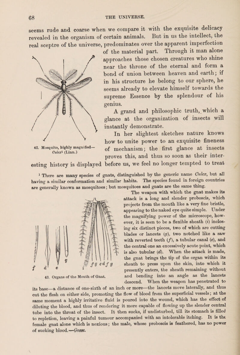 42. Mosquito, highly magnified- Culex1 (Linn.) seems rude and coarse when we compare it with the exquisite delicacy revealed in the organism of certain animals. But in us the intellect, the real sceptre of the universe, predominates over the apparent imperfection of the material part. Through it man alone approaches those chosen creatures who shine near the throne of the eternal and form a bond of union between heaven and earth; if in his structure he belong to our sphere, he seems already to elevate himself towards the supreme Essence by the splendour of his genius. A grand and philosophic truth, which a glance at the organization of insects will instantly demonstrate. In her slightest sketches nature knows how to unite power to an exquisite fineness of mechanism; the first glance at insects proves this, and thus so soon as their inter¬ esting history is displayed before us, we feel no longer tempted to treat 1 There are many species of gnats, distinguished by the generic name Culex, but all having a similar conformation and similar habits. The species found in foreign countries are generally known as mosquitoes; but mosquitoes and gnats are the same thing. The weapon with which the gnat makes its attack is a long and slender proboscis, which projects from the mouth like a very fine bristle, appearing to the naked eye quite simple. Under the magnifying power of the microscope, how¬ ever, it is seen to be a flexible sheath (i) inclos¬ ing six distinct pieces, two of which are cutting blades or lancets (g), two notched like a saw with reverted teeth (/), a tubular canal (e), and the central one an excessively acute point, which is also tubular (d). When the attack is made, the gnat brings the tip of the organ within its sheath to press upon the skin, into which it presently enters, the sheath remaining without and bending into an angle as the lancets descend. When the weapon has penetrated to its base—a distance of one-sixth of an inch or more—the lancets move laterally, and thus cut the flesh on either side, promoting the flow of blood from the superficial vessels; at the same moment a highly irritative fluid is poured into the wound, which has the effect of diluting the blood, and thus of rendering it more capable of flowing up the slender central tube into the throat of the insect. It then sucks, if undisturbed, till its stomach is filled to repletion, leaving a painful tumour accompanied with an intolerable itching. It is the female gnat alone which is noxious; the male, whose proboscis is feathered, has no power of sucking blood,-—Go§dC. 43. Organs of the Mouth of Gnat.