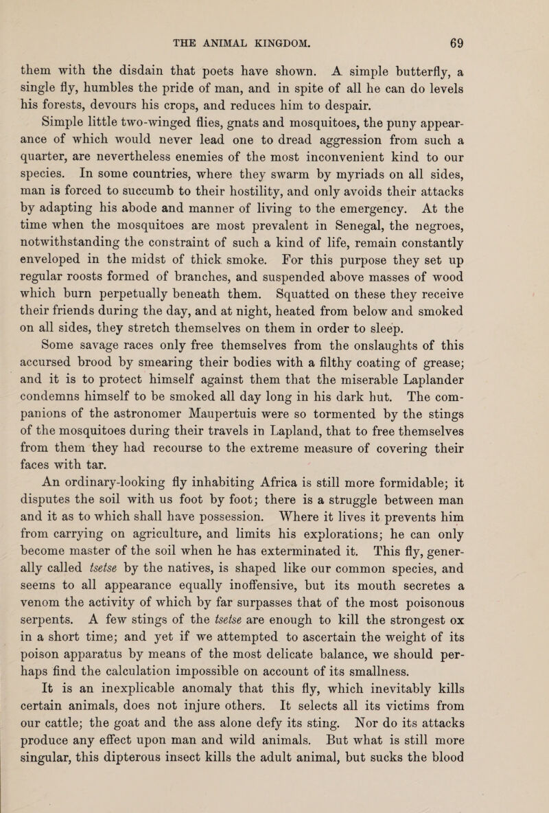 them with the disdain that poets have shown. A simple butterfly, a single fly, humbles the pride of man, and in spite of all he can do levels his forests, devours his crops, and reduces him to despair. Simple little two-winged flies, gnats and mosquitoes, the puny appear¬ ance of which would never lead one to dread aggression from such a quarter, are nevertheless enemies of the most inconvenient kind to our species. In some countries, where they swarm by myriads on all sides, man is forced to succumb to their hostility, and only avoids their attacks by adapting his abode and manner of living to the emergency. At the time when the mosquitoes are most prevalent in Senegal, the negroes, notwithstanding the constraint of such a kind of life, remain constantly enveloped in the midst of thick, smoke. For this purpose they set up regular roosts formed of branches, and suspended above masses of wood which burn perpetually beneath them. Squatted on these they receive their friends during the day, and at night, heated from below and smoked on all sides, they stretch themselves on them in order to sleep. Some savage races only free themselves from the onslaughts of this accursed brood by smearing their bodies with a filthy coating of grease; and it is to protect himself against them that the miserable Laplander condemns himself to be smoked all day long in his dark hut. The com¬ panions of the astronomer Maupertuis were so tormented by the stings of the mosquitoes during their travels in Lapland, that to free themselves from them they had recourse to the extreme measure of covering their faces with tar. An ordinary-looking fly inhabiting Africa is still more formidable; it disputes the soil with us foot by foot; there is a struggle between man and it as to which shall have possession. Where it lives it prevents him from carrying on agriculture, and limits his explorations; he can only become master of the soil when he has exterminated it. This fly, gener¬ ally called tsetse by the natives, is shaped like our common species, and seems to all appearance equally inoffensive, but its mouth secretes a venom the activity of which by far surpasses that of the most poisonous serpents. A few stings of the tsetse are enough to kill the strongest ox in a short time; and yet if we attempted to ascertain the weight of its poison apparatus by means of the most delicate balance, we should per¬ haps find the calculation impossible on account of its smallness. It is an inexplicable anomaly that this fly, which inevitably kills certain animals, does not injure others. It selects ail its victims from our cattle; the goat and the ass alone defy its sting. Nor do its attacks produce any effect upon man and wild animals. But what is still more singular, this dipterous insect kills the adult animal, but sucks the blood
