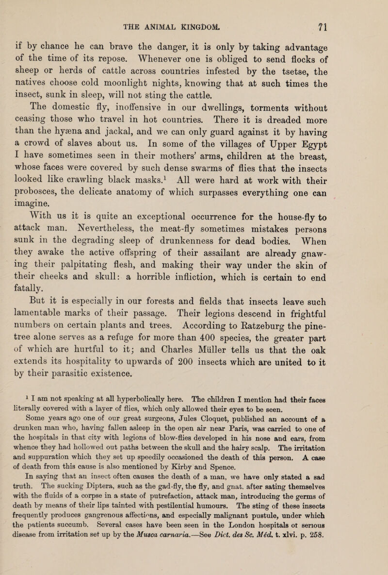 il by chance he can brave the danger, it is only by taking advantage of the time of its repose. Whenever one is obliged to send flocks of sheep or herds of cattle across countries infested by the tsetse, the natives choose cold moonlight nights, knowing that at such times the insect, sunk in sleep, will not sting the cattle. The domestic fly, inoffensive in our dwellings, torments without ceasing those who travel in hot countries. There it is dreaded more than the hyaena and jackal, and we can only guard against it by having a crowd of slaves about us. In some of the villages of Upper Egypt I have sometimes seen in their mothers' arms, children at the breast, whose faces were covered by such dense swarms of flies that the insects looked like crawling black masks.1 All were hard at work with their probosces, the delicate anatomy of which surpasses everything one can imagine. With us it is quite an exceptional occurrence for the house-fly to attack man. Nevertheless, the meat-fly sometimes mistakes persons sunk in the degrading sleep of drunkenness for dead bodies. When they awake the active offspring of their assailant are already gnaw¬ ing their palpitating flesh, and making their way under the skin of their cheeks and skull: a horrible infliction, which is certain to end fatally. But it is especially in our forests and fields that insects leave such lamentable marks of their passage. Their legions descend in frightful numbers on certain plants and trees. According to Ratzeburg the pine- tree alone serves as a refuge for more than 400 species, the greater part of which are hurtful to it; and Charles Muller tells us that the oak extends its hospitality to upwards of 200 insects which are united to it by their parasitic existence. 1 I am not speaking at all hyperbolically here. The children I mention had their faces literally covered with a layer of flies, which only allowed their eyes to be seen. Some years ago one of our great surgeons, Jules Cloquet, published an account of a drunken man who, having fallen asleep in the open air near Paris, was carried to one of the hospitals in that city with legions of blow-flies developed in his nose and ears, from whence they had hollowed out paths between the skull and the hairy scalp. The irritation and suppuration which they set up speedily occasioned the death of this person. A case of death from this cause is also mentioned by Kirby and Spence. In saying that an insect often causes the death of a man, we have only stated a sad truth. The sucking Diptera, such as the gad-fly, the fly, and gnat, after sating themselves with the fluids of a corpse in a state of putrefaction, attack man, introducing the germs of death by means of their lips tainted with pestilential humours. The sting of these insects frequently produces gangrenous affections, and especially malignant pustule, under which the patients succumb. Several cases have been seen in the London hospitals ot serious