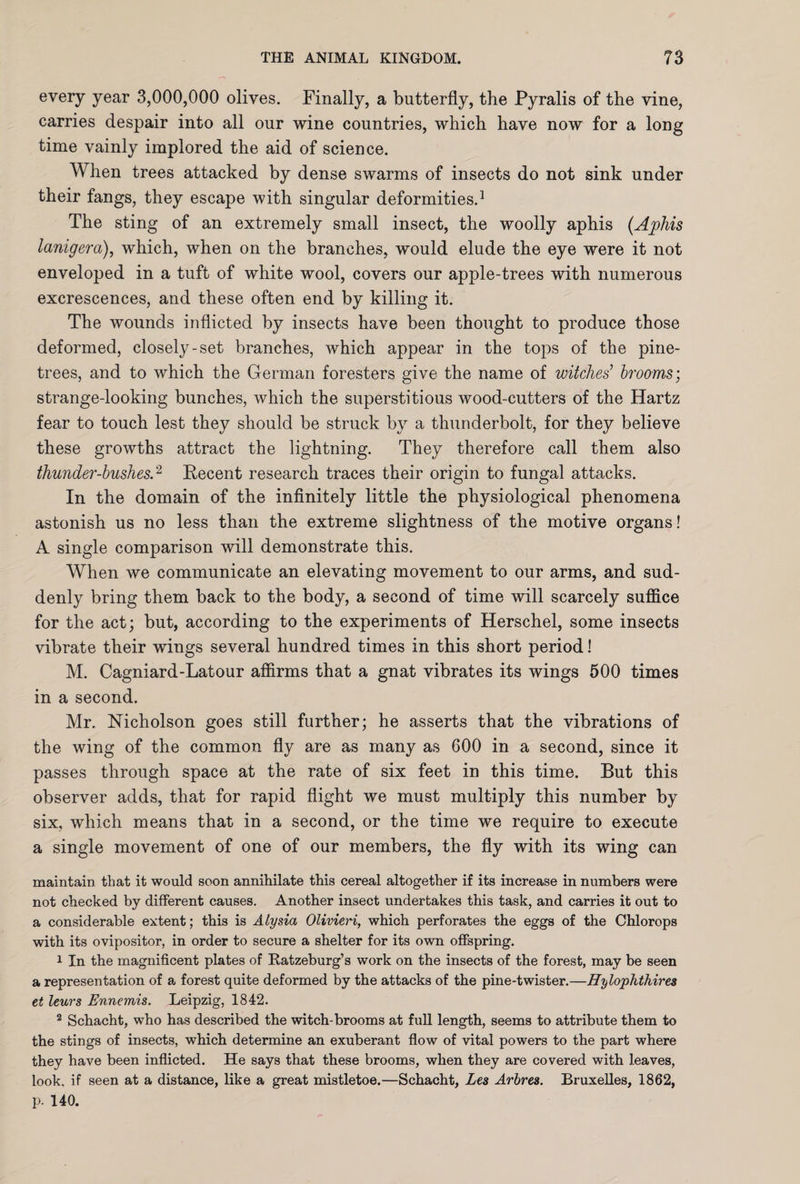 every year 3,000,000 olives. Finally, a butterfly, the Pyralis of the vine, carries despair into all our wine countries, which have now for a long time vainly implored the aid of science. When trees attacked by dense swarms of insects do not sink under their fangs, they escape with singular deformities.1 The sting of an extremely small insect, the woolly aphis (Aphis lanigera), which, when on the branches, would elude the eye were it not enveloped in a tuft of white wool, covers our apple-trees with numerous excrescences, and these often end by killing it. The wounds inflicted by insects have been thought to produce those deformed, closely-set branches, which appear in the tops of the pine- trees, and to which the German foresters give the name of witches’ brooms', strange-looking bunches, which the superstitious wood-cutters of the Hartz fear to touch lest they should be struck by a thunderbolt, for they believe these growths attract the lightning. They therefore call them also thunder-bushes.2 Recent research traces their origin to fungal attacks. In the domain of the infinitely little the physiological phenomena astonish us no less than the extreme slightness of the motive organs! A single comparison will demonstrate this. When we communicate an elevating movement to our arms, and sud¬ denly bring them back to the body, a second of time will scarcely suffice for the act; but, according to the experiments of Herschel, some insects vibrate their wings several hundred times in this short period! M. Cagniard-Latour affirms that a gnat vibrates its wings 500 times in a second. Mr. Nicholson goes still further; he asserts that the vibrations of the wing of the common fly are as many as 600 in a second, since it passes through space at the rate of six feet in this time. But this observer adds, that for rapid flight we must multiply this number by six, which means that in a second, or the time we require to execute a single movement of one of our members, the fly with its wing can maintain that it would soon annihilate this cereal altogether if its increase in numbers were not checked by different causes. Another insect undertakes this task, and carries it out to a considerable extent; this is Alysia Olivieri, which perforates the eggs of the Chlorops with its ovipositor, in order to secure a shelter for its own offspring. 1 In the magnificent plates of Batzeburg’s work on the insects of the forest, may be seen a representation of a forest quite deformed by the attacks of the pine-twister.—Hylophthires et leurs Ennemis. Leipzig, 1842. 2 Schacht, who has described the witch-brooms at full length, seems to attribute them to the stings of insects, which determine an exuberant flow of vital powers to the part where they have been inflicted. He says that these brooms, when they are covered with leaves, look, if seen at a distance, like a great mistletoe.—Schacht, Les Arbres. Bruxelles, 1862, p. 140.