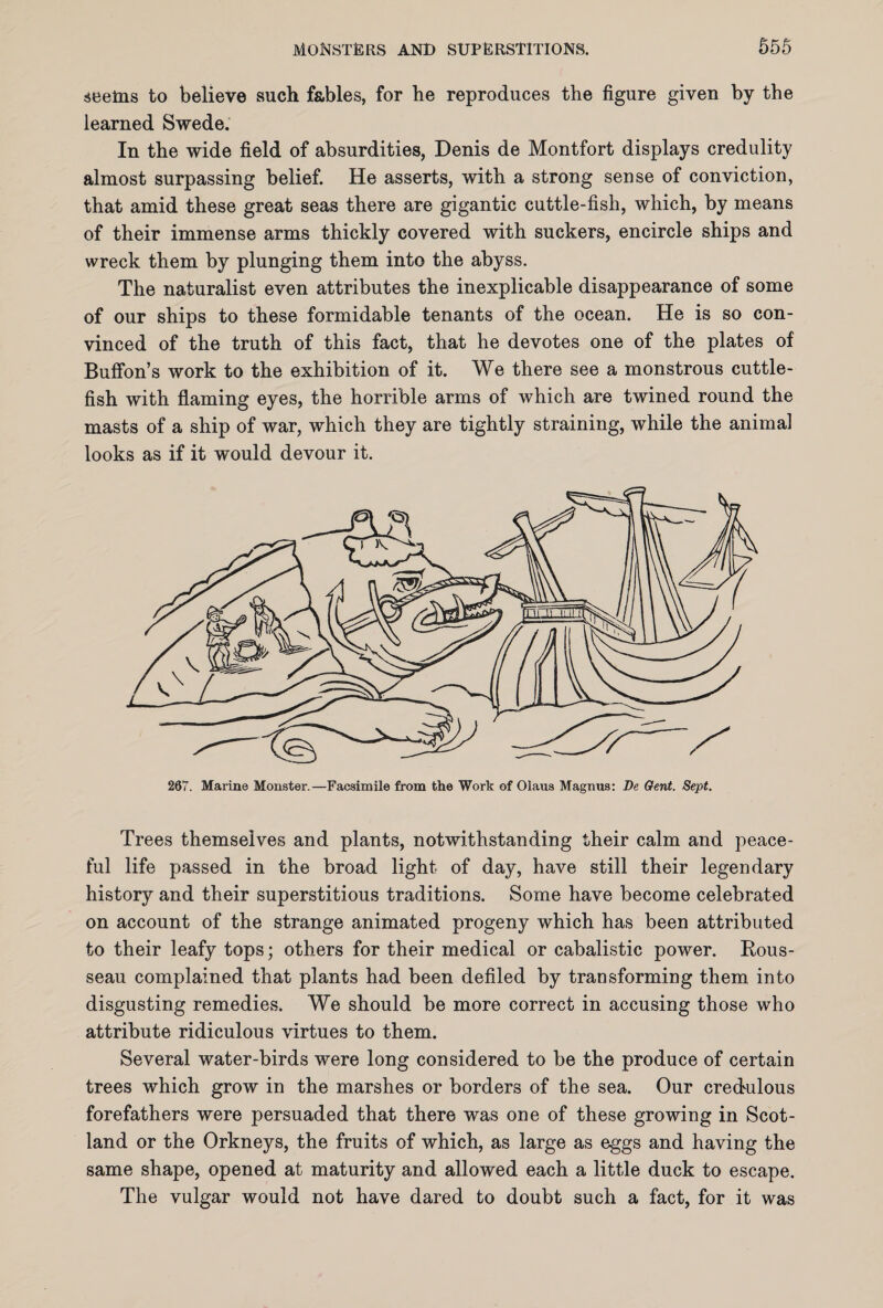 seetns to believe such fables, for he reproduces the figure given by the learned Swede. In the wide field of absurdities, Denis de Montfort displays credulity almost surpassing belief. He asserts, with a strong sense of conviction, that amid these great seas there are gigantic cuttle-fish, which, by means of their immense arms thickly covered with suckers, encircle ships and wreck them by plunging them into the abyss. The naturalist even attributes the inexplicable disappearance of some of our ships to these formidable tenants of the ocean. He is so con¬ vinced of the truth of this fact, that he devotes one of the plates of Buffon’s work to the exhibition of it. We there see a monstrous cuttle¬ fish with flaming eyes, the horrible arms of which are twined round the masts of a ship of war, which they are tightly straining, while the animal looks as if it would devour it. 267. Marine Monster.—Facsimile from the Work of Olaus Magnus: De Gent. Sept. Trees themselves and plants, notwithstanding their calm and peace¬ ful life passed in the broad light of day, have still their legendary history and their superstitious traditions. Some have become celebrated on account of the strange animated progeny which has been attributed to their leafy tops; others for their medical or cabalistic power. Bous- seau complained that plants had been defiled by transforming them into disgusting remedies. We should be more correct in accusing those who attribute ridiculous virtues to them. Several water-birds were long considered to be the produce of certain trees which grow in the marshes or borders of the sea. Our credulous forefathers were persuaded that there was one of these growing in Scot¬ land or the Orkneys, the fruits of which, as large as eggs and having the same shape, opened at maturity and allowed each a little duck to escape. The vulgar would not have dared to doubt such a fact, for it was