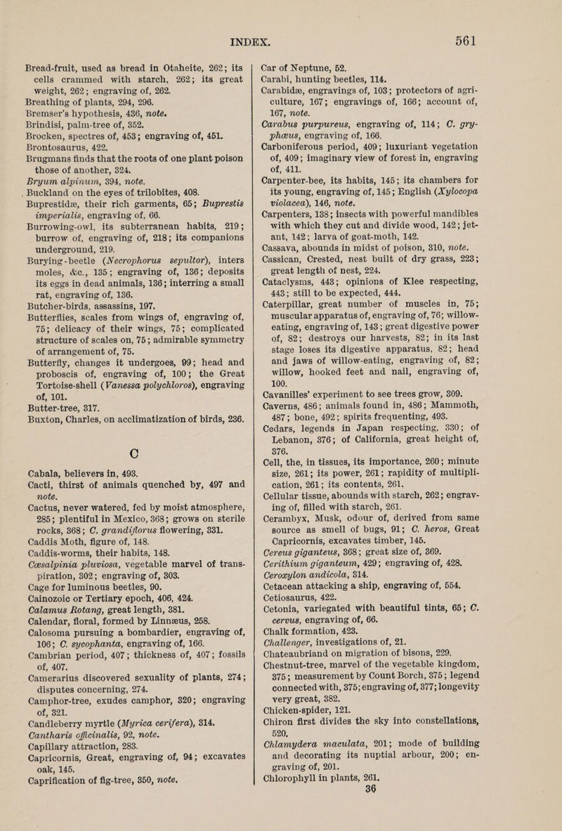 Bread-fruit, used as bread in Otaheite, 262; its cells crammed with starch, 262; its great weight, 262; engraving of, 262. Breathing of plants, 294, 296. Bremser’s hypothesis, 436, note. Brindisi, palm-tree of, 352. Brocken, spectres of, 453; engraving of, 451. Brontosaurus, 422. Brugmans finds that the roots of one plant poison those of another, 324. Bryum alpinum, 394, note. Buckland on the eyes of trilobites, 408. Buprestidae, their rich garments, 65; Buprestis imperialis, engraving of, 66. Burrowing-owl, its subterranean habits, 219; burrow of, engraving of, 218; its companions underground, 219. Burying-beetle (NecropJiorus sepultor), inters moles, &c., 135; engraving of, 136; deposits its eggs in dead animals, 136; interring a small rat, engraving of, 136. Butcher-birds, assassins, 197. Butterflies, scales from wings of, engraving of, 75; delicacy of their wings, 75; complicated structure of scales on, 75; admirable symmetry of arrangement of, 75. Butterfly, changes it undergoes, 99; head and proboscis of, engraving of, 100; the Great Tortoise-shell (Vanessa polychloros), engraving of, 101. Butter-tree, 317. Buxton, Charles, on acclimatization of birds, 236. c Cabala, believers in, 493. Cacti, thirst of animals quenched by, 497 and note. Cactus, never watered, fed by moist atmosphere, 285; plentiful in Mexico, 368; grows on sterile rocks, 368; C. grandiflorus flowering, 331. Caddis Moth, figure of, 148. Caddis-worms, their habits, 148. Coesalpinia pluviosa, vegetable marvel of trans¬ piration, 302; engraving of, 303. Cage for luminous beetles, 90. Cainozoic or Tertiary epoch, 406, 424. Calamus Rotang, great length, 381. Calendar, floral, formed by Linnaeus, 258. Calosoma pursuing a bombardier, engraving of, 106; C. sycophanta, engraving of, 166. Cambrian period, 407; thickness of, 407; fossils of, 407. Camerarius discovered sexuality of plants, 274; disputes concerning, 274. Camphor-tree, exudes camphor, 320; engraving of, 321. Candleberry myrtle (Myrica cerifera), 314. Cantharis officinalis, 92, note. Capillary attraction, 283. Capricornis, Great, engraving of, 94; excavates oak, 145. Caprification of fig-tree, 350, note. Car of Neptune, 52. Carabi, hunting beetles, 114. Carabidse, engravings of, 103; protectors of agri¬ culture, 167; engravings of, 166; account of, 167, note. Carabus purpureus, engraving of, 114; C. gry- phceus, engraving of, 166. Carboniferous period, 409; luxuriant vegetation of, 409; imaginary view of forest in, engraving of, 411. Carpenter-bee, its habits, 145; its chambers for its young, engraving of, 145; English (Xylocopa violacea), 146, note. Carpenters, 138; insects with powerful mandibles with which they cut and divide wood, 142; jet- ant, 142; larva of goat-moth, 142. Cassava, abounds in midst of poison, 310, note. Cassican, Crested, nest built of dry grass, 223; great length of nest, 224. Cataclysms, 443; opinions of Klee respecting, 443; still to be expected, 444. Caterpillar, great number of muscles in, 75; muscular apparatus of, engraving of, 76; willow¬ eating, engraving of, 143; great digestive power of, 82; destroys our harvests, 82; in its last stage loses its digestive apparatus, 82; head and jaws of willow-eating, engraving of, 82; willow, hooked feet and nail, engraving of, 100. Cavanilles’ experiment to see trees grow, 309. Caverns, 486; animals found in, 486; Mammoth, 487; bone, 492; spirits frequenting, 493. Cedars, legends in Japan respecting, 330; of Lebanon, 376; of California, great height of, 376. Cell, the, in tissues, its importance, 260; minute size, 261; its power, 261; rapidity of multipli¬ cation, 261; its contents, 261. Cellular tissue, abounds with starch, 262; engrav¬ ing of, filled with starch, 261. Cerambyx, Musk, odour of, derived from same source as smell of bugs, 91; C. heros, Great Capricornis, excavates timber, 145. Cereus giganteus, 368; great size of, 369. Cerithium giganteum, 429; engraving of, 428. Ceroxylon andicola, 314. Cetacean attacking a ship, engraving of, 554. Cetiosaurus, 422. Cetonia, variegated with beautiful tints, 65; C. cervus, engraving of, 66. Chalk formation, 423. Challenger, investigations of, 21. Chateaubriand on migration of bisons, 229. Chestnut-tree, marvel of the vegetable kingdom, 375; measurement by Count Borch, 375; legend connected with, 375; engraving of, 377; longevity- very great, 382. Chicken-spider, 121. Chiron first divides the sky into constellations, 520. Chlamydera maculata, 201; mode of building and decorating its nuptial arbour, 200; en¬ graving of, 201. Chlorophyll in plants, 261. 36