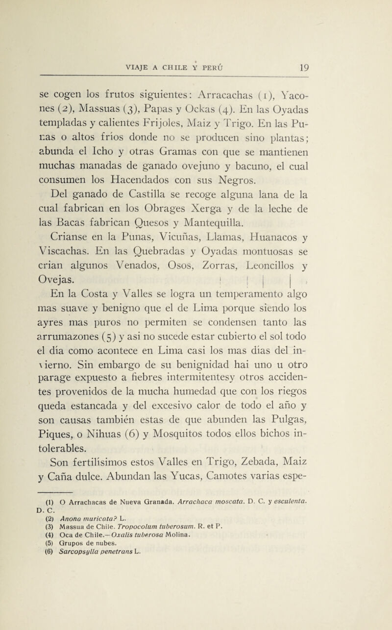 se cogen los frutos siguientes: Arracachas (i), Yaco- nes (2), Massuas (3), Papas y Ockas (4). E11 las Ovadas templadas y calientes Frijoles, Maiz y Trigo. En las Pu¬ nas o altos fríos donde no se producen sino plantas; abunda el Icho y otras Gramas con que se mantienen muchas manadas de ganado ovejuno y bacuno, el cual consumen los Hacendados con sus Negros. Del ganado de Castilla se recoge alguna lana de la cual fabrican en los Obrages Xerga y de la leche de las Bacas fabrican Quesos y Mantequilla. Crianse en la Punas, Vicuñas, Llamas, Huanacos y Viscachas. En las Quebradas y Oyadas montuosas se crian algunos Venados, Osos, Zorras, Leoncillos y Ovejas. ¡ En la Costa y Valles se logra un temperamento algo mas suave y benigno que el de Lima porque siendo los ayres mas puros no permiten se condensen tanto las arrumazones (5) y asi no sucede estar cubierto el sol todo el día como acontece en Lima casi los mas días del in~ \ierno. Sin embargo de su benignidad hai uno u otro parage expuesto a fiebres intermitentesy otros acciden¬ tes provenidos de la mucha humedad que con los riegos queda estancada y del excesivo calor de todo el año y son causas también estas de que abunden las Pulgas, Piques, o Nihuas (6) y Mosquitos todos ellos bichos in¬ tolerables. Son fértilísimos estos Valles en Trigo, Zebada, Maiz y Caña dulce. Abundan las Yucas, Camotes varias espe- (1) O Arrachacas de Nueva Granada. Arrachaca moscata. D. C. y esculenta. D. C. (2) Anona muricataP L. (3) Massua de Chile. Tropocolum tuberosum. R. et P. (4) Oca de Chile.— Oxalis tuberosa Molina. (5) Grupos de nubes. (6) Sarcopsylla penetrans L.
