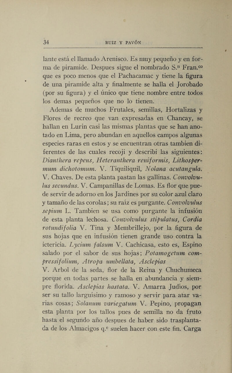 lante está el llamado Arenisco. Es muy pequeño y en for¬ ma de pirámide. Después sigue el nombrado S.n Fran.co que es poco menos que el Pachacamac y tiene la figura de una pirámide alta y finalmente se halla el Jorobado (por su figura) y el único que tiene nombre entre todos los demas pequeños que no lo tienen. Ademas de muchos Frutales, semillas, Hortalizas y Flores de recreo que van expresadas en Chancay, se hallan en Lurin casi las mismas plantas que se han ano¬ tado en Lima, pero abundan en aquellos campos algunas especies raras en estos y se encuentran otras también di¬ ferentes de las cuales recoji y describí las siguientes: Dianthera repens, Heteranthera reniformis, Lithosper- mum dichotomum. V. Tiquiliquil, Nolana acutangula. V. Chaves. De esta planta pastan las gallinas. Convolvu- lus secundas. V. Campanillas de Lomas. Es flor que pue¬ de servir de adorno en los Jardines por su color azul claro y tamaño de las corolas; su raíz es purgante. Convolvulus sepium L. También se usa como purgante la infusión de esta planta lechosa. Convolvulus stipulatus, Cordia rotundifolia V. Tina y Membrillejo, por la figura de sus hojas que en infusión tienen grande uso contra la ictericia. Lycium falsum V. Cachicasa, esto es, Espino salado por el sabor de sus hojas; Potamogetum com- pressifolium, Atropa umbellata, Asele pías V. Arbol de la seda, flor de la Reina y Chuchumeca porque en todas partes se halla en abundancia y siem¬ pre florida. Asele pías hastata. V. Amarra Judíos, por ser su tallo larguísimo y ramoso y servir para atar va¬ rias cosas; Solanum variégatum V. Pepino, propagan esta planta por los tallos pues de semilla no da fruto hasta el segundo año después de haber sido trasplanta¬ da de los Almacigos q.e suelen hacer con este fin. Carga