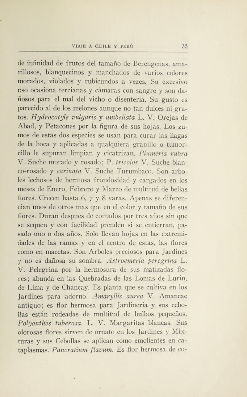de infinidad de frutos del tamaño de Berengenas, ama¬ rillosos, blanquecinos y manchados de varios colores morados, violados y rubicundos a vezes. Su excesivo uso ocasiona tercianas y cámaras con sangre y son da¬ ñosos para el mal del vicho o disenteria. Su gusto es parecido al de los melones aunque no tan dulces ni gra¬ tos. Hydrocotyle vulgaris y umbellata L. V. Orejas de x\bad, y Petacones por la figura de sus hojas. Los zu¬ mos de estas dos especies se usan para curar las llagas de la boca y aplicadas a qualquiera granillo o tumor- cilio le supuran limpian y cicatrizan. Plumería rubra V. Suche morado y rosado; P. tricolor V. Suche blan¬ co-rosado y carinata V. Suche Turumbaco. Son arbo¬ les lechosos de hermosa frondosidad y cargados en los meses de Enero, Febrero y Marzo de multitud de bellas flores. Crecen hasta 6, 7 y 8 varas. Apenas se diferen¬ cian unos de otros mas que en el color y tamaño de sus flores. Duran después de cortados por tres años sin que se sequen y con facilidad prenden si se entierran, pa¬ sado uno o dos años. Solo llevan hojas en las extremi¬ dades de las ramas y en el centro de estas, las flores como en macetas. Son Arboles preciosos para Jardines y no es dañosa su sombra. Astroemeria peregrina L. V. Pelegrina por la hermosura de sus matizadas flo¬ res; abunda en las Quebradas de las Lomas de Lurin, de Lima y de Chancay. Es planta que se cultiva en los Jardines para adorno. Amaryllis aurea V. Amancae antiguo; es flor hermosa para Jardineria y sus cebo¬ llas están rodeadas de multitud de bulbos pequeños. Polyanthes tuberosa. L. V. Margaritas blancas. Sus olorosas flores sirven de ornato en los Jardines y Mix¬ turas y sus Cebollas se aplican como emolientes en ca¬ taplasmas. Pancratium flavum. Es flor hermosa de co-