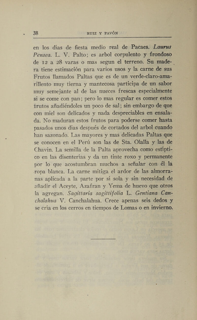 en los dias de fiesta medio real de Pacaes. Laurus P ensea. L. V. Palto; es árbol corpulento y frondoso de 12 a 28 varas o mas según el terreno. Su made- ra tiene estimación para varios usos y la carne de sus Frutos llamados Paltas que es de un verde-claro-ama¬ rillento muy tierna y mantecosa participa de un sabor muy semejante al de las nueces frescas especialmente si se come con pan; pero lo mas regular es comer estos frutos añadiéndoles un poco de sal; sin embargo de que con miel son delicados y nada despreciables en ensala¬ da. No maduran estos frutos para poderse comer hasta pasados unos dias después de cortados del árbol cuando han sazonado. Las mayores y mas delicadas Paltas que se conocen en el Perú son las de Sta. Olalla y las de Chavin. La semilla de la Palta aprovecha como estípti¬ co en las disenterías y da un tinte roxo y permanente por lo que acostumbran muchos a señalar con él la ropa blanca. La carne mitiga el ardor de las almorra¬ nas aplicada a la parte por sí sola y sin necesidad de añadir el Aceyte, Azafrán y Yema de huevo que otros la agregan. Sagittaria sagittifolia L. Gentiana Can¬ chalagua V. Canchalahua. Crece apenas seis dedos y se cría en los cerros en tiempos de Lomas o en invierno.