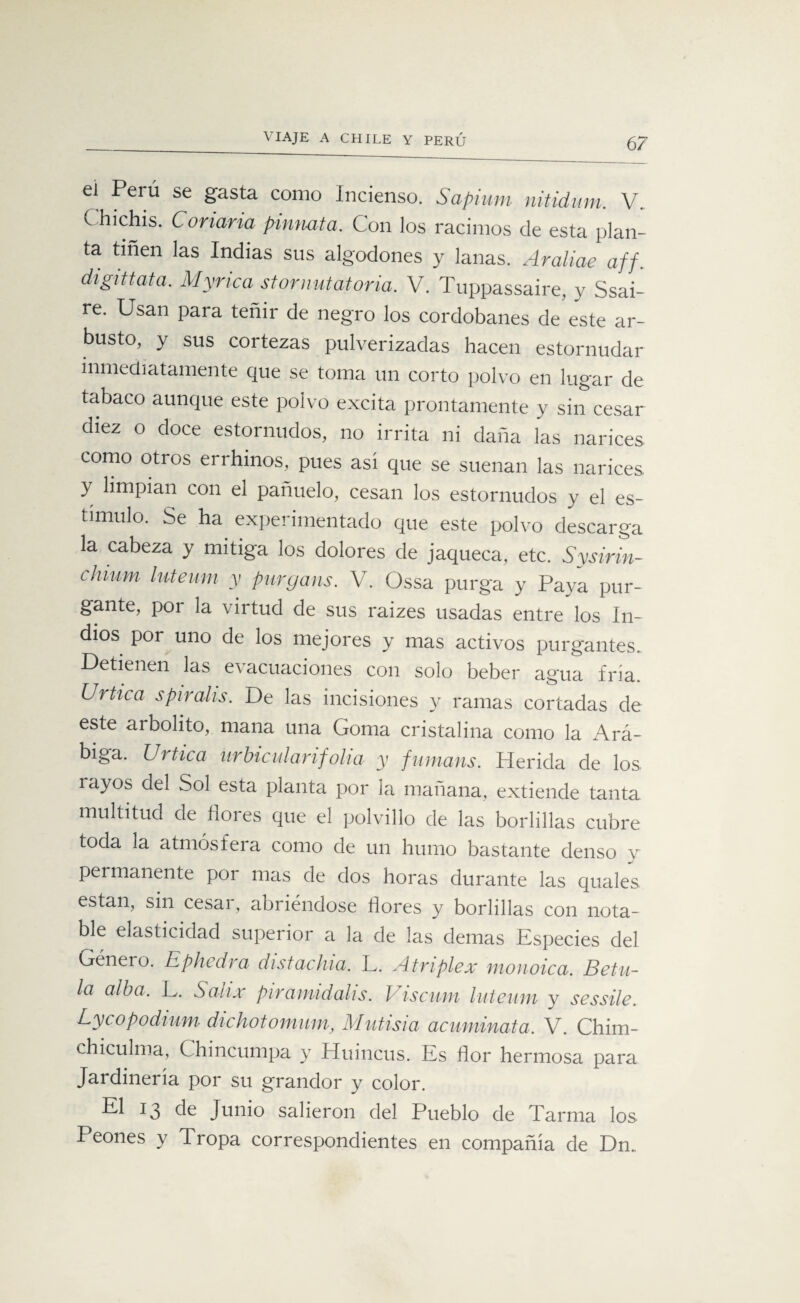 el Perú se gasta como Incienso. Sapium nitidum. V. C hichis. Conaria pinnata. Con los racimos de esta plan¬ ta tiñen las Indias sus algodones y lanas. Araliae aff. digittata. Myrica stornutátoria. V. Tuppassaire, y Ssai- re. Usan para teñir de negro los cordobanes de este ar¬ busto, y sus cortezas pulverizadas hacen estornudar inmediatamente que se toma un corto polvo en lugar de tabaco aunque este polvo excita prontamente y sin cesar diez o doce estornudos, no irrita ni daña las narices como otros errhinos, pues así que se suenan las narices y limpian con el pañuelo, cesan los estornudos y el es¬ tímulo. Se ha experimentado que este polvo descarga la cabeza y mitiga los dolores de jaqueca, etc. S^sirin- chmm luteum y purgans. V. Ossa purga y Paya pur¬ gante, poi la virtud de sus raizes usadas entre los In¬ dios por uno de los mejores y mas activos purgantes. Detienen las evacuaciones con solo beber agua fría. Urtica spiralis. De las incisiones y ramas cortadas de este arbolito, mana una Goma cristalina como la Ará¬ biga. Urtica urbicularifolia y fumans. Herida de los. rayos del Sol esta planta por la mañana, extiende tanta multitud de ñores que el polvillo de las borliílas cubre toda la atmósfera como de un humo bastante denso y permanente por mas de dos horas durante las quales están, sin cesar, abriéndose flores y borliílas con nota¬ ble elasticidad superior a la de las demas Especies del Género. Ephedra distachia. L. Atnplex monoica. Betu- la alba. L. Salix piramidalis. Viscum luteum y sessile. Lycopodium dichotommn, Mutisia acuminata. V. Chim- chiculma, Chincumpa y Huincus. Es flor hermosa para Jardinería por su grandor y color. El 13 de Junio salieron del Pueblo de Tarma los Peones y Tropa correspondientes en compañía de Dn.