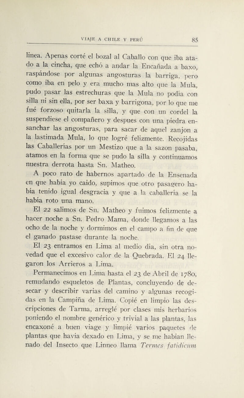 linea. Apenas corté el bozal al Caballo con que iba ata¬ do a la cincha, que echó a andar la Encañada a ’baxo, raspándose por algunas angosturas la barriga, pero como iba en pelo y era mucho mas alto que la Muía, pudo pasar las estrechuras que la Muía no podía con silla ni sin ella, por ser baxa y barrigona, por lo que me fue foizoso quitarla la silla, y que con un cordel la suspendiese el compañero y después con una piedra en¬ sanchar las angosturas, para sacar de aquel zanjón a la lastimada Muía, lo que logré felizmente. Recojidas las Caballerías por un Mestizo que a la sazón pasaba, atamos en la forma que se pudo la silla y continuamos nuestra derrota hasta Sn. Matheo. A poco rato de habernos apartado de la Ensenada en que había yo caído, supimos que otro pasagero ha¬ bía tenido igual desgracia y que a la caballería se la había roto una mano. El 22 salimos de Sn. Matheo y fuimos felizmente a hacer noche a Sn. Pedro Mama, donde llegamos a las ocho de la noche y dormimos en el campo a fin de que el ganado pastase durante la noche. El 23 entramos en Lima al medio dia, sin otra no¬ vedad que el excesivo calor de la Quebrada. El 24 lle¬ garon los Arrieros a Lima. Permanecimos en Lima hasta el 23 de1 Abril de 1780, remudando esqueletos de Plantas, concluyendo de de¬ secar y describir varias del camino y algunas recogi¬ das en la Campiña de Lima. Copié en limpio las des¬ cripciones de Tarma, arreglé por clases mis herbarios poniendo el nombre genérico y trivial a las plantas, las encaxoné a buen viage y limpié varios paquetes de plantas que havia dexado en Lima, y se me habían lle¬ nado del Insecto que Linneo llama Termes fatidicum