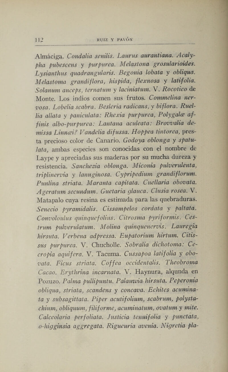 Almáciga. Condalia senilis. Laurus aurantiana. Acaly- pha pubescens y purpurea. Melastona gr o sillar toldes. Lysianthus quadrangularis. Begonia lobata y obliqua. Melastoma grandiflora, hispida, flexnosa y latifolia. Solanum anceps, ternatum y laciniatum. V. Rocotico de Monte. Los indios comen sus frutos. Commelina ner¬ vosa. Lobelia scabra. Besleria radicans, y biflora. Ruel- lia allata y paniculata: Rhexia purpurea, Polygalce af- finis albo-purpurea: Pantana aculeata: Brovvalia de¬ mis sa Linnceif Vandalia difussa. Hoppea tintórea, pres¬ ta precioso color de Canario. Godoya oblonga y spatu- lata, ambas especies son conocidas con el nombre de Laype y apreciadas sus maderas por su mucha dureza y resistencia. Sanchezia oblonga. Miconia pulverulenta, triplinervia y lanuginosa. Cypripedium grandiflorum. Punlina striata. Maranta capitata. Cueilaria obovata. Ageratum secundum. Guetaria glauca. Chista rosea. V. Matapalo cuya resina es estimada para las quebraduras. Senecio pyramidalis. Cissampelos cordata y paltata. Convoloulus quinqué folias. Citrosma pyriformis. Ces- trum pulverulatum. Molina quinquenervis. Lauregia hirsuta. Verbena adpressa. Eupatorium hirtum. Citis- sus purpurea. V. Chucholle. Sobralia dichotoma: Ce- cropia aquifera. V. Tacuma. Cussapoa latifolia y obo¬ vata. Ficus striata. Coffea occidentahs. Theobroma Cacao. Erythrina incamata. V. Haynura, alqunda en Pozuzo. Palma pullipuntu. Palauwia hirsuta. Peperonia obliqua, striata, scandens y cóncava. Echites acumina- ta y subsagittata. Piper acutifolium, scabrum, polysta- chium, obliquum, filiformef acuminatum, ovatum y mite. Calceolaria perfoliata. Justicia tenuifolia y punctata, o-higginsia aggregata. Rigueuria avenia. Nigretia pía-