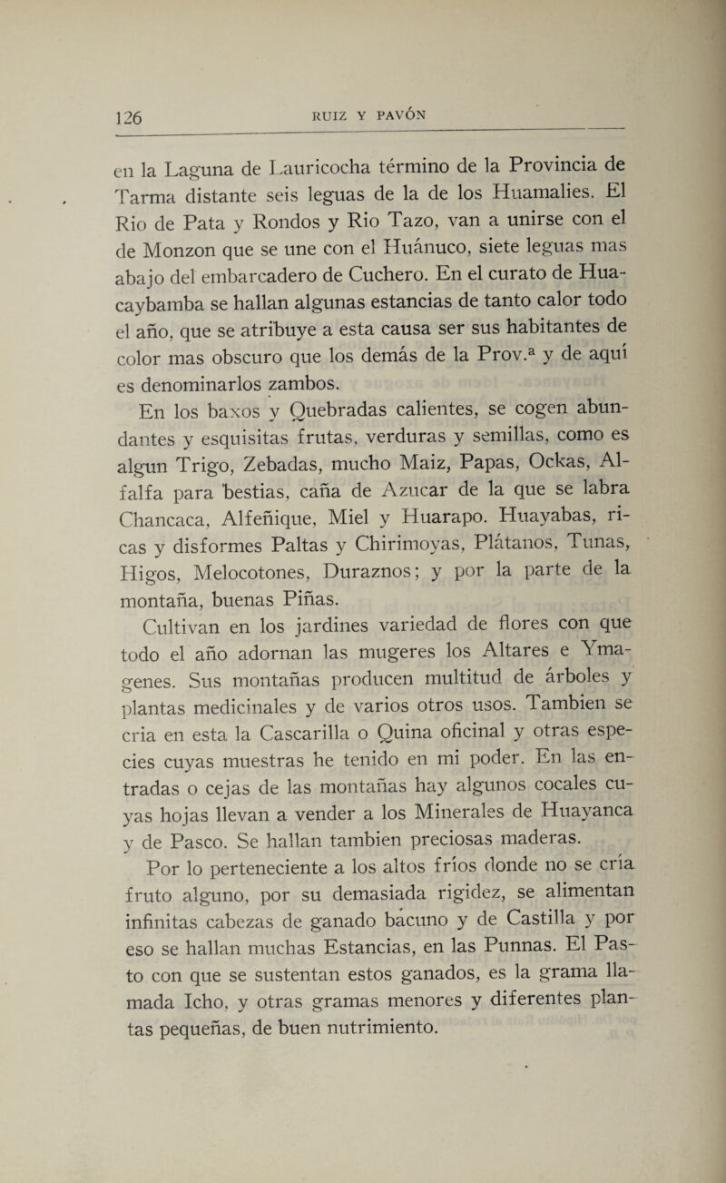 en la Laguna de Lauricocha término de la Provincia de Tarma distante seis leguas de la de los Huamalies. El Rio de Pata y Rondos y Rio Tazo, van a unirse con el de Monzon que se une con el Huánuco, siete leguas mas abajo del embarcadero de Cuchero. En el curato de Hua- caybamba se hallan algunas estancias de tanto calor todo el año, que se atribuye a esta causa ser sus habitantes de color mas obscuro que los demás de la Prov.a y de aquí es denominarlos zambos. En los baxos y Quebradas calientes, se cogen abun¬ dantes y esquisitas frutas, verduras y semillas, como es algún Trigo, Zebadas, mucho Maiz, Papas, Ockas, Al¬ falfa para bestias, caña de Azúcar de la que se labra Chancaca, Alfeñique, Miel y Huarapo. Huayabas, ri¬ cas y disformes Paltas y Chirimoyas, Plátanos, Tunas, Higos, Melocotones, Duraznos; y por la parte de la montaña, buenas Piñas. Cultivan en los jardines variedad de flores con que todo el año adornan las mugeres los Altares e Yma- genes. Sus montañas producen multitud de árboles y plantas medicinales y de varios otros usos. También se cria en esta la Cascarilla o Quina oficinal y otras espe¬ cies cuyas muestras he tenido en mi poder. En las en¬ tradas o cejas de las montañas hay algunos cocales cu¬ yas hojas llevan a vender a los Minerales de Huayanca y de Pasco. Se hallan también preciosas maderas. Por lo perteneciente a los altos fríos donde no se cría fruto alguno, por su demasiada rigidez, se alimentan infinitas cabezas de ganado bacuno y de Castilla y por eso se hallan muchas Estancias, en las Punnas. El Pas¬ to con que se sustentan estos ganados, es la grama lla¬ mada Icho, y otras gramas menores y diferentes plan¬ tas pequeñas, de buen nutrimiento.
