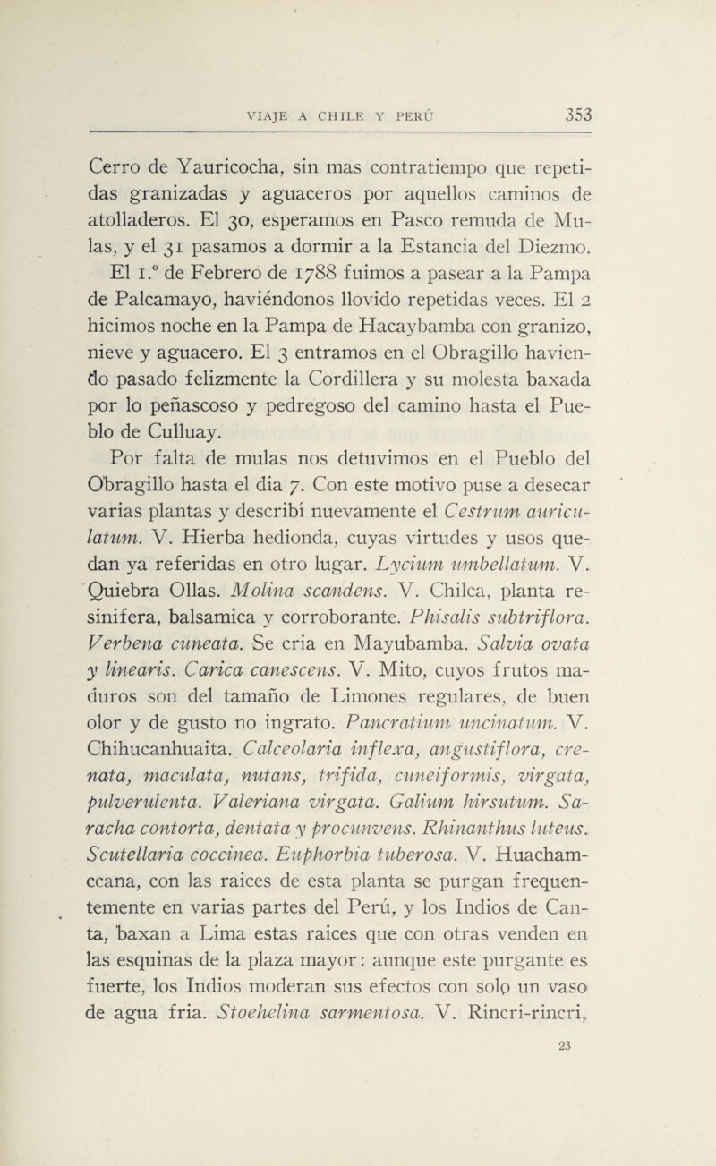 Cerro de Yauricocha, sin mas contratiempo que repeti¬ das granizadas y aguaceros por aquellos caminos de atolladeros. El 30, esperamos en Pasco remuda de Mu- las, y el 31 pasamos a dormir a la Estancia del Diezmo. El i.° de Febrero de 1788 fuimos a pasear a la Pampa de Palcamayo, haviéndonos llovido repetidas veces. El 2 hicimos noche en la Pampa de Hacaybamba con granizo, nieve y aguacero. El 3 entramos en el Obragillo havien- do pasado felizmente la Cordillera y su molesta baxada por lo peñascoso y pedregoso del camino hasta el Pue¬ blo de Culluay. Por falta de muías nos detuvimos en el Pueblo del Obragillo hasta el dia 7. Con este motivo puse a desecar varias plantas y describí nuevamente el Cestrum auricu- latum. V. Hierba hedionda, cuyas virtudes y usos que¬ dan ya referidas en otro lugar. Lycium umbellatum. V. Quiebra Ollas. Molina scandens. V. Chilca, planta re¬ sinífera, balsámica y corroborante. Phisalis subtriflora. Verbena cuneata. Se cria en Mayubamba. Salvia ovata y linearis. Carica canescens. V. Mito, cuyos frutos ma¬ duros son del tamaño de Limones regulares, de buen olor y de gusto no ingrato. Pancratium uncinatum. V. Chihucanhuaita. Calceolaria infle xa, angustiflora, ere- nata, maculatanutans, trifida, cuneiformis, virgata, pulverulenta. Valeriana virgata. Galium hirsutum. Sa- racha contorta, dentata y procunvens. Rhinanthus luteus. Scutellaria coccinea. Euphorbia tuberosa. V. Huacham- ccana, con las raíces de esta planta se purgan frequen- temente en varias partes del Perú, y los Indios de Can¬ ta, baxan a Lima estas raíces que con otras venden en las esquinas de la plaza mayor: aunque este purgante es fuerte, los Indios moderan sus efectos con solo un vaso de agua fria. Stoehelina sarmentosa. V. Rincri-rincri, 23