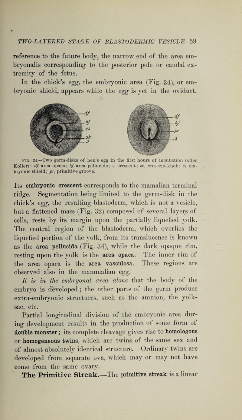 reference to the future body, the narrow end of the area em- bryonalis corresponding to the posterior pole or caudal ex¬ tremity of the fetus. In the chick’s egg, the embryonic area (Fig. 34), or em¬ bryonic shield, appears while the egg is yet in the oviduct. Fig. 34.—Two germ-disks of hen’s egg in the first hours of incubation (after Roller): df, area opaca; hf, area pellucida; s, crescent; sk, crescent-knob; es, em¬ bryonic shield; pr, primitive groove. Its embryonic crescent corresponds to the mamalian terminal ridge. Segmentation being limited to the germ-disk in the chick’s egg, the resulting blastoderm, which is not a vesicle, but a flattened mass (Fig. 32) composed of several layers of cells, rests by its margin upon the partially liquefied yolk. The central region of the blastoderm, which overlies the liquefied portion of the yolk, from its translucence is known as the area pellucida (Fig. 34), while the dark opaque rim, resting upon the yolk is the area opaca. The inner rim of the area opaca is the area vasculosa. These regions are observed also in the mammalian egg. If is in the embryonal area alone that the body of the embryo is developed; the other parts of the germ produce extra-embryonic structures, such as the amnion, the yolk- sac, etc. Partial longitudinal division of the embryonic area dur¬ ing development results in the production of some form of double monster; its complete cleavage gives rise to homologous or homogeneous twins, which are twins of the same sex and of almost absolutely identical structure. Ordinary twins are developed from separate ova, which may or may not have come from the same ovary. The Primitive Streak.—The primitive streak is a linear