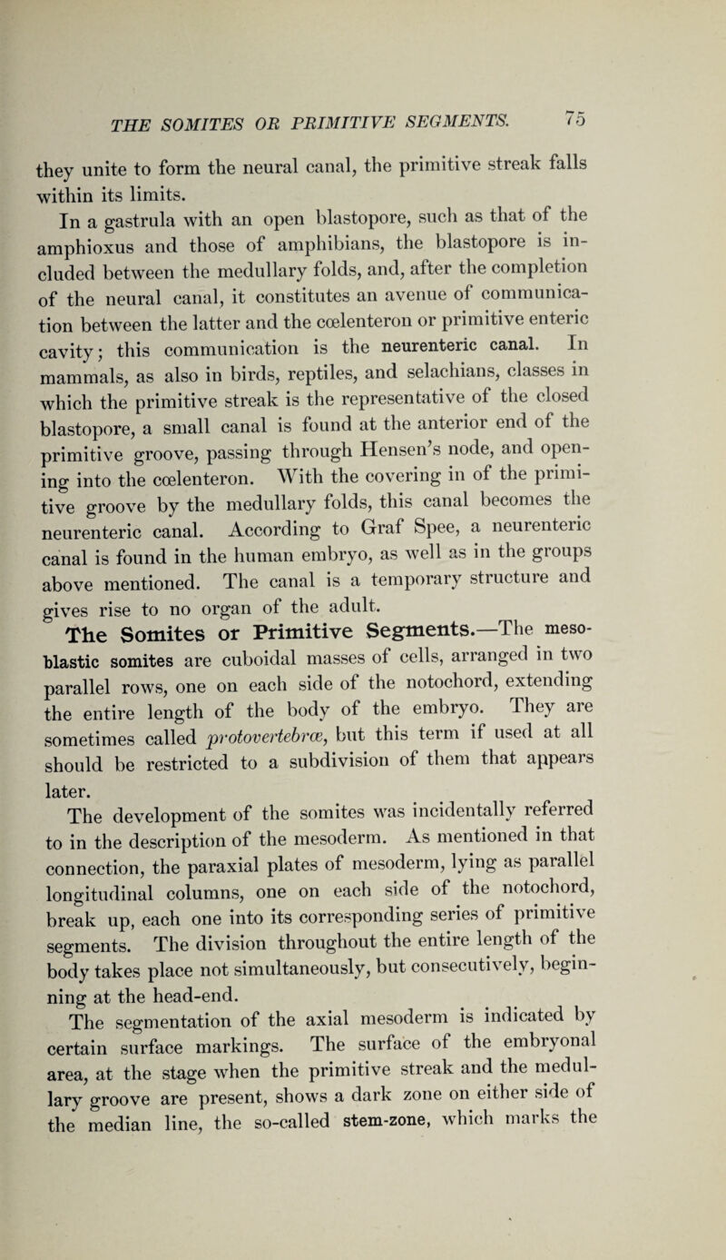 they unite to form the neural canal, the primitive streak falls within its limits. In a gastrula with an open blastopore, such as that of the amphioxus and those of amphibians, the blastopore is in¬ cluded between the medullary folds, and, after the completion of the neural canal, it constitutes an avenue of communica¬ tion between the latter and the coelenteron or primitiv e enteric cavity; this communication is the neurenteric canal. In mammals, as also in birds, reptiles, and selachians, classes in which the primitive streak is the representative of the closed blastopore, a small canal is found at the anterioi end of the primitive groove, passing through Hensen s node, and open¬ ing into the coelenteron. With the covering in of the primi¬ tive groove by the medullary folds, this canal becomes the neurenteric canal. According to Graf Spee, a neurenteric canal is found in the human embryo, as well as in the groups above mentioned. The canal is a temporary structure and gives rise to no organ of the adult. The Somites or Primitive Segments.—The meso- blastic somites are cuboidal masses of cells, arranged in two parallel rows, one on each side of the notochord, extending the entire length of the body of the embryo. They are sometimes called pvotovertebrcB, but this teim if used at all should be restricted to a subdivision of them that appears later. The development of the somites w'as incidentally referred to in the description of the mesoderm. As mentioned in that connection, the paraxial plates of mesoderm, lying as parallel longitudinal columns, one on each side of the notochord, break up, each one into its corresponding series of primitive segments. The division throughout the entire length of the body takes place not simultaneously, but consecutively, begin¬ ning at the head-end. The segmentation of the axial mesoderm is indicated by certain surface markings. The surface of the embryonal area, at the stage when the primitive streak and the medul¬ lary groove are present, shows a dark zone on either side of the median line, the so-called stem-zone, which marks the