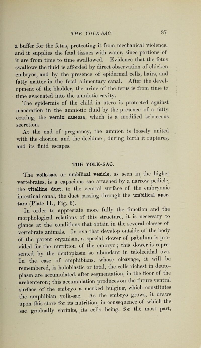THE YOLK-SAC. a buffer for the fetus, protecting it from mechanical violence, and it supplies the fetal tissues with water, since portions of it are from time to time swallowed. Evidence that the fetus swallows the fluid is afforded by direct observation of chicken embryos, and by the presence of epidermal cells, hairs, and fatty matter in thq fetal alimentary canal. After the devel¬ opment of the bladder, the urine of the fetus is from time to time evacuated into the amniotic cavity. The epidermis of the child in utero is protected against maceration in the amniotic fluid by the presence of a fatty coating, the vernix caseosa, which is a modified sebaceous secretion. At the end of pregnancy, the amnion is loosely united with the chorion and the deciduae; during birth it ruptures, and its fluid escapes. THE YOLK=SAC. The yolk-sac, or umbilical vesicle, as seen in the higher vertebrates, is a capacious sac attached by a narrow pedicle, the vitelline duct, to the ventral surface of the embryonic intestinal canal, the duct passing through the umbilical aper¬ ture (Plate II., Fig. 6). In order to appreciate more fully the function and the morphological relations of this structure, it is necessary to glance at the conditions that obtain in the several classes of vertebrate animals. In ova that develop outside of the body of the parent organism, a special dower of pabulum is pro¬ vided for the nutrition of the embryo; this dower is repre¬ sented by the deutoplasm so abundant in telolecithal ova. In the case of amphibians, whose cleavage, it will be remembered, is holoblastic or total, the cells richest in deuto¬ plasm are accumulated, after segmentation, in the floor of the archenteron; this accumulation produces on the future ventral surface of the embryo a marked bulging, which constitutes the amphibian yolk-sac. As the embryo grows, it draws upon this store for its nutrition, in consequence of which the gradually shrinks, its cells being, for the most part, sac