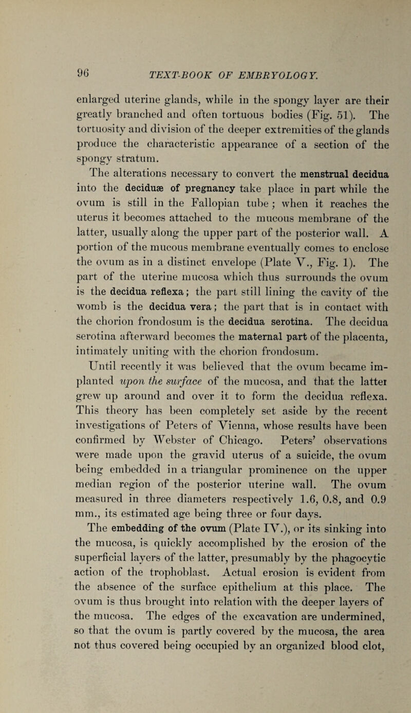 enlarged uterine glands, while in the spongy layer are their greatly branched and often tortuous bodies (Fig. 51). The tortuosity and division of the deeper extremities of the glands produce the characteristic appearance of a section of the spongy stratum. The alterations necessary to convert the menstrual decidua into the deciduae of pregnancy take place in part while the ovum is still in the Fallopian tube ; when it reaches the uterus it becomes attached to the mucous membrane of the latter, usually along the upper part of the posterior wall. A portion of the mucous membrane eventually comes to enclose the ovum as in a distinct envelope (Plate V., Fig. 1). The part of the uterine mucosa which thus surrounds the ovum is the decidua reflexa; the part still lining the cavity of the womb is the decidua vera; the part that is in contact with the chorion frondosum is the decidua serotina. The decidua serotina afterward becomes the maternal part of the placenta, intimately uniting with the chorion frondosum. Until recently it was believed that the ovum became im- J planted upon the surface of the mucosa, and that the latter grew up around and over it to form the decidua reflexa. This theory has been completely set aside by the recent investigations of Peters of Vienna, whose results have been confirmed by Webster of Chicago. Peters’ observations were made upon the gravid uterus of a suicide, the ovum being embedded in a triangular prominence on the upper median region of the posterior uterine wall. The ovum measured in three diameters respectively 1.6, 0.8, and 0.9 mm., its estimated age being three or four days. The embedding of the ovum (Plate IV.), or its sinking into the mucosa, is quickly accomplished by the erosion of the superficial layers of the latter, presumably by the phagocytic action of the trophoblast. Actual erosion is evident from the absence of the surface epithelium at this place. The ovum is thus brought into relation with the deeper layers of the mucosa. The edges of the excavation are undermined, so that the ovum is partly covered by the mucosa, the area not thus covered being occupied by an organized blood clot,