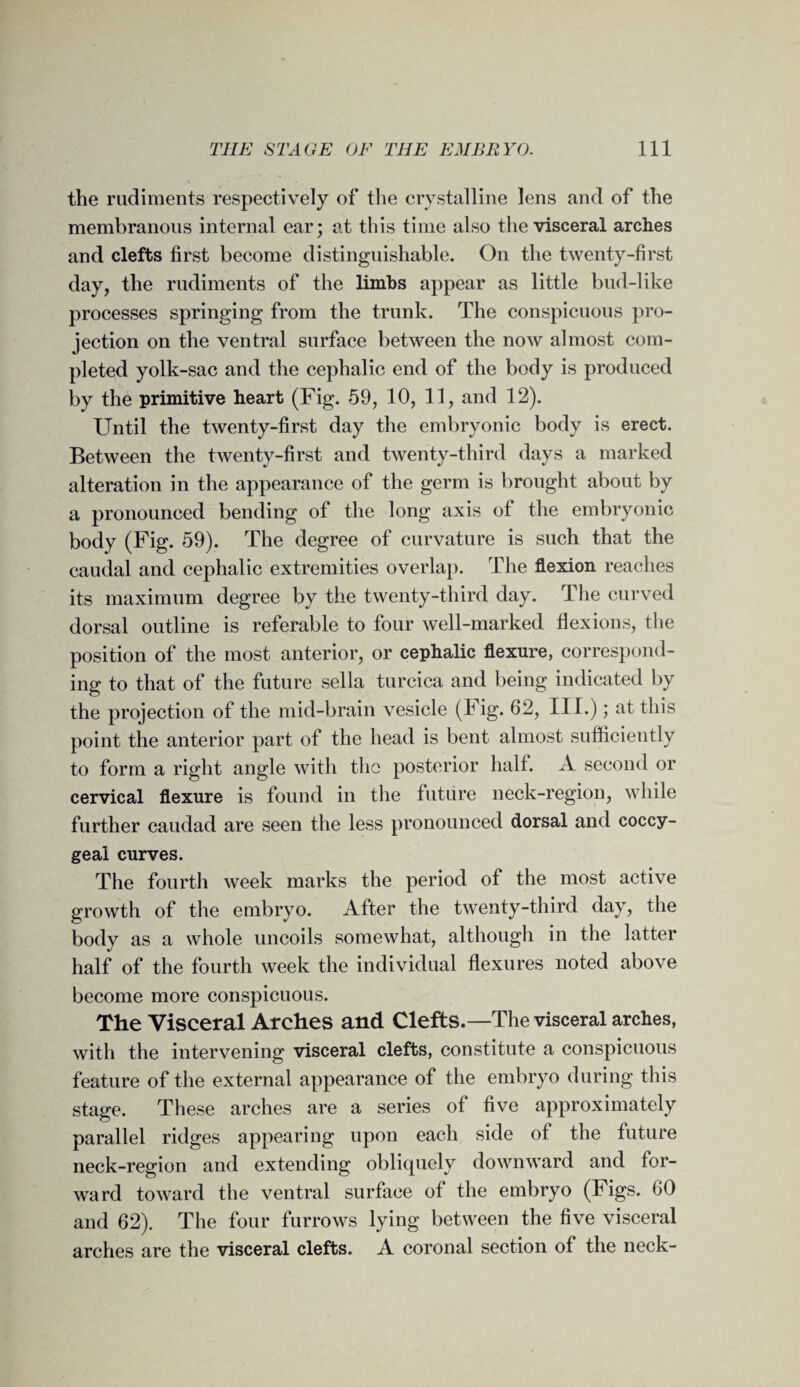 the rudiments respectively of the crystalline lens and of the membranous internal ear; at this time also the visceral arches and clefts first become distinguishable. On the twenty-first day, the rudiments of the limbs appear as little bud-like processes springing from the trunk. The conspicuous pro¬ jection on the ventral surface between the now almost com¬ pleted yolk-sac and the cephalic end of the body is produced by the primitive heart (Fig. 59, 10, 11, and 12). Until the twenty-first day the embryonic body is erect. Between the twenty-first and twenty-third days a marked alteration in the appearance of the germ is brought about by a pronounced bending of the long axis of the embryonic body (Fig. 59). The degree of curvature is such that the caudal and cephalic extremities overlap. The flexion reaches its maximum degree by the twenty-third day. The curved dorsal outline is referable to four well-marked flexions, the position of the most anterior, or cephalic flexure, correspond¬ ing to that of the future sella turcica and being indicated by the projection of the mid-brain vesicle (Fig. 62, III.); at this point the anterior part of the head is bent almost sufficiently to form a right angle with the posterior half. A second or cervical flexure is found in the future neck-region, while further caudad are seen the less pronounced dorsal and coccy¬ geal curves. The fourth week marks the period of the most active growth of the embryo. After the twenty-third day, the body as a whole uncoils somewhat, although in the latter half of the fourth week the individual flexures noted above become more conspicuous. The Visceral Arches and Clefts.—The visceral arches, with the intervening visceral clefts, constitute a conspicuous feature of the external appearance of the embryo during this stage. These arches are a series of five approximately parallel ridges appearing upon each side of the future neck-region and extending obliquely downward and for¬ ward toward the ventral surface of the embryo (Figs. 60 and 62). The four furrows lying between the five visceral arches are the visceral clefts. A coronal section of the neck-