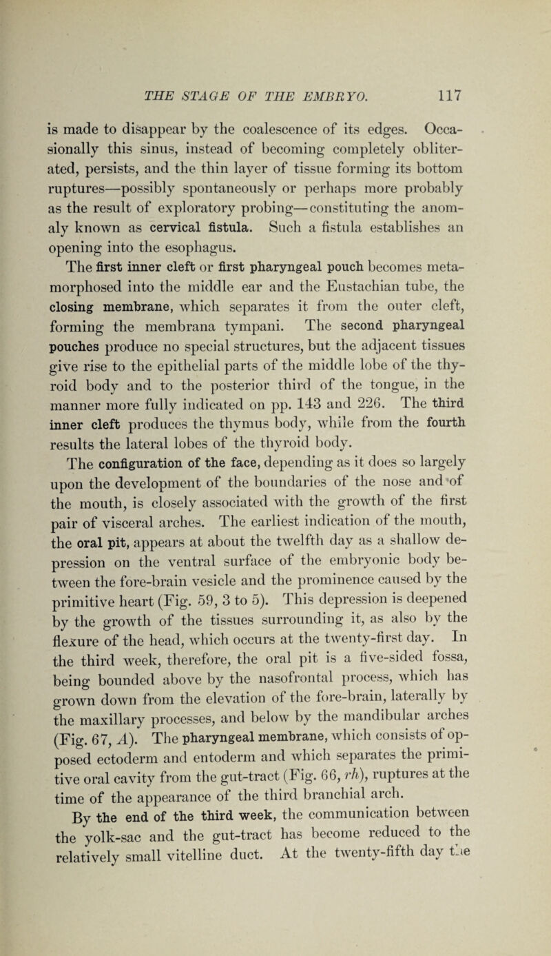 is made to disappear by the coalescence of its edges. Occa¬ sionally this sinus, instead of becoming completely obliter¬ ated, persists, and the thin layer of tissue forming its bottom ruptures—possibly spontaneously or perhaps more probably as the result of exploratory probing—constituting the anom¬ aly known as cervical fistula. Such a fistula establishes an opening into the esophagus. The first inner cleft or first pharyngeal pouch becomes meta¬ morphosed into the middle ear and the Eustachian tube, the closing membrane, which separates it from the outer cleft, forming the membrana tympani. The second pharyngeal pouches produce no special structures, but the adjacent tissues give rise to the epithelial parts of the middle lobe of the thy¬ roid body and to the posterior third of the tongue, in the manner more fully indicated on pp. 143 and 226. The third inner cleft produces the thymus body, while from the fourth results the lateral lobes of the thyroid body. The configuration of the face, depending as it does so largely upon the development of the boundaries of the nose and of the mouth, is closely associated with the growth of the first pair of visceral arches. The earliest indication of the mouth, the oral pit, appears at about the twelfth day as a shallow de¬ pression on the ventral surface of the embryonic body be¬ tween the fore-brain vesicle and the prominence caused by the primitive heart (Fig. 59, 3 to 5). This depression is deepened by the growth of the tissues surrounding it, as af o y flexure of the head, which occurs at the twenty-first day. In the third week, therefore, the oral pit is a five-sided fossa, being bounded above by the nasofrontal process, which has grown down from the elevation of the fore-brain, laterally by the maxillary processes, and below by the mandibular arches (Fig. 67, A). The pharyngeal membrane, which consists of op¬ posed ectoderm and entoderm and which sepaiates the primi¬ tive oral cavity from the gut-tract (Fig. 66, rh), ruptures at the time of the appearance of the third branchial arch. By the end of the third week, the communication between the yolk-sac and the gut-tract has become reduced to the relatively small vitelline duct. At the twenty-fifth day the