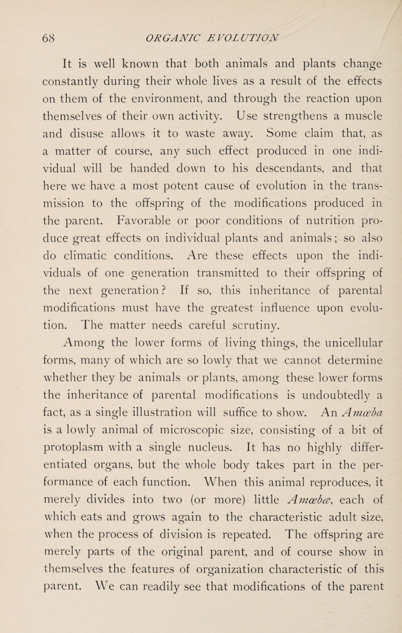 It is well known that both animals and plants change constantly during their whole lives as a result of the effects on them of the environment, and through the reaction upon themselves of their own activity. Use strengthens a muscle and disuse allows it to waste away. Some claim that, as a matter of course, any such effect produced in one indi¬ vidual will be handed down to his descendants, and that here we have a most potent cause of evolution in the trans¬ mission to the offspring of the modifications produced in the parent. Favorable or poor conditions of nutrition pro¬ duce great effects on individual plants and animals; so also do climatic conditions. Are these effects upon the indi¬ viduals of one generation transmitted to their offspring of the next generation ? If so, this inheritance of parental modifications must have the greatest influence upon evolu¬ tion. The matter needs careful scrutiny. Among the lower forms of living things, the unicellular forms, many of which are so lowly that we cannot determine whether they be animals or plants, among these lower forms the inheritance of parental modifications is undoubtedly a fact, as a single illustration will suffice to show. An Amoeba is a lowly animal of microscopic size, consisting of a bit of protoplasm with a single nucleus. It has no highly differ¬ entiated organs, but the whole body takes part in the per¬ formance of each function. When this animal reproduces, it merely divides into two (or more) little Amoeba, each of which eats and grows again to the characteristic adult size, when the process of division is repeated. The offspring are merely parts of the original parent, and of course show in themselves the features of organization characteristic of this parent. We can readily see that modifications of the parent