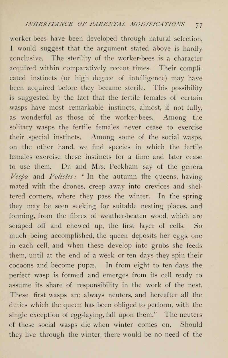 worker-bees have been developed through natural selection, I would suggest that the argument stated above is hardly conclusive. The sterility of the worker-bees is a character acquired within comparatively recent times. Their compli¬ cated instincts (or high degree of intelligence) may have been acquired before they became sterile. This possibility is suggested by the fact that the fertile females of certain wasps have most remarkable instincts, almost, if not fully, as wonderful as those of the worker-bees. Amon? the O solitary wasps the fertile females never cease to exercise their special instincts. Among some of the social wasps, on the other hand, we find species in which the fertile females exercise these instincts for a time and later cease to use them. Dr. and Mrs. Peckham say of the genera Vespa and Polistes: “ In the autumn the queens, having mated with the drones, creep away into crevices and shel¬ tered corners, where they pass the winter. In the spring they may be seen seeking for suitable nesting places, and forming, from the fibres of weather-beaten wood, which are scraped off and chewed up, the first layer of cells. So much being accomplished, the queen deposits her eggs, one in each cell, and when these develop into grubs she feeds them, until at the end of a week or ten days they spin their cocoons and become pupae. In from eight to ten days the perfect wasp is formed and emerges from its cell ready to assume its share of responsibility in the work of the nest. These first wasps are always neuters, and hereafter all the duties which the queen has been obliged to perform, with the single exception of egg-laying, fall upon them.” The neuters of these social wasps die when winter comes on. Should they live through the winter, there would be no need of the