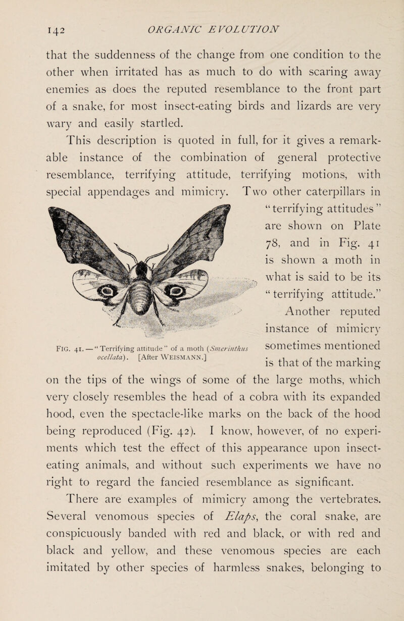 that the suddenness of the change from one condition to the other when irritated has as much to do with scaring away enemies as does the reputed resemblance to the front part of a snake, for most insect-eating birds and lizards are very wary and easily startled. This description is quoted in full, for it gives a remark¬ able instance of the combination of general protective resemblance, terrifying attitude, terrifying motions, with special appendages and mimicry. Two other caterpillars in “ terrifying attitudes ” are shown on Plate 78, and in Fig. 41 is shown a moth in -, what is said to be its JP “ terrifying attitude.” Another reputed instance of mimicry FIG. 41. — “Terrifying attitude’’ of a moth (Smerinthus Sometimes mentioned ocellata). [After Weismann.1 . , r ,, . is that ot the marking on the tips of the wings of some of the large moths, which very closely resembles the head of a cobra with its expanded hood, even the spectacle-like marks on the back of the hood being reproduced (Fig. 42). I know, however, of no experi¬ ments which test the effect of this appearance upon insect¬ eating animals, and without such experiments we have no right to regard the fancied resemblance as significant. There are examples of mimicry among the vertebrates. Several venomous species of Elaps, the coral snake, are conspicuously banded with red and black, or with red and black and yellow, and these venomous species are each imitated by other species of harmless snakes, belonging to