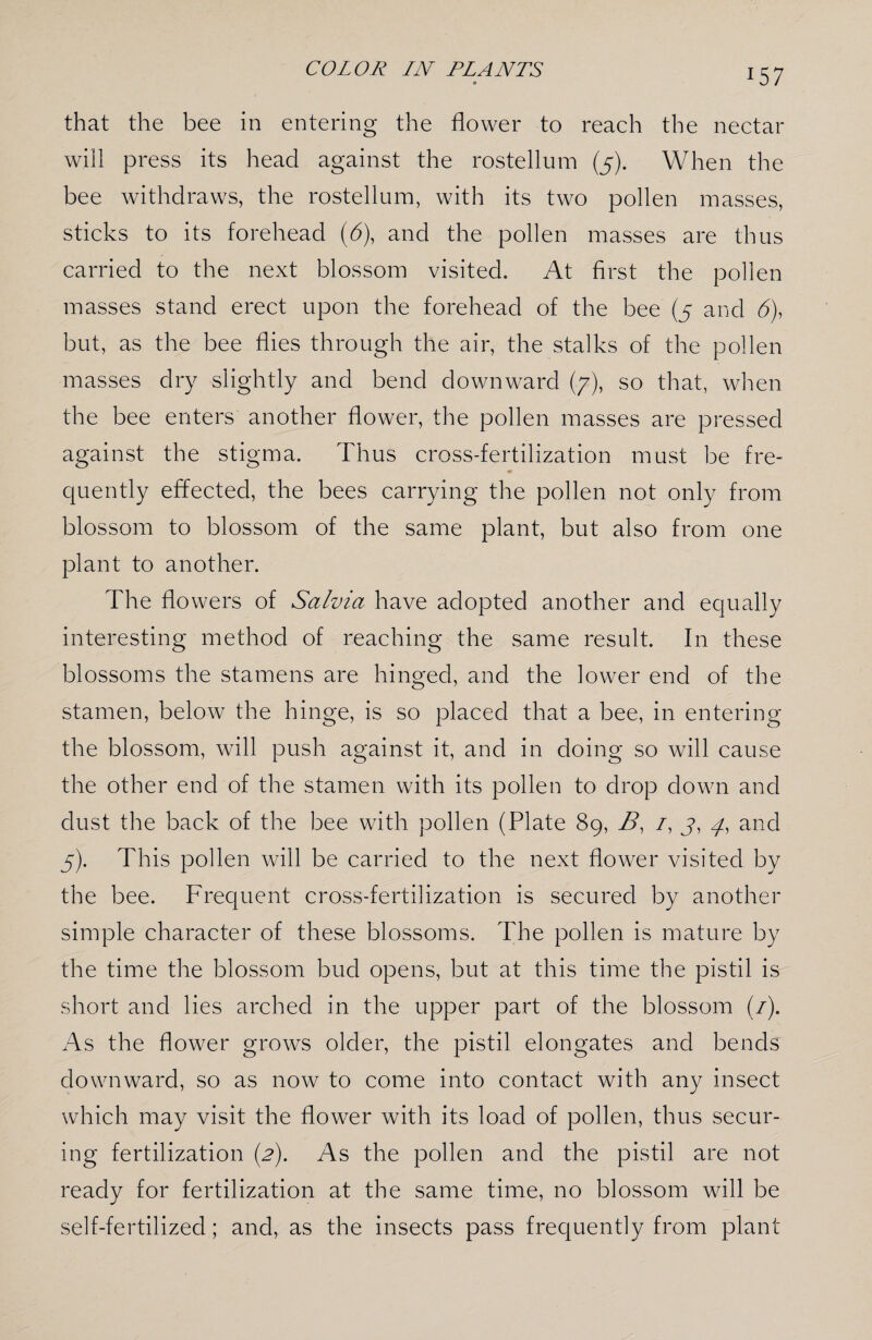 that the bee in entering the flower to reach the nectar will press its head against the rostellum (5). When the bee withdraws, the rostellum, with its two pollen masses, sticks to its forehead (6), and the pollen masses are thus carried to the next blossom visited. At first the pollen masses stand erect upon the forehead of the bee (5 and b), but, as the bee flies through the air, the stalks of the pollen masses dry slightly and bend downward (7), so that, when the bee enters another flower, the pollen masses are pressed against the stigma. Thus cross-fertilization must be fre- quently effected, the bees carrying the pollen not only from blossom to blossom of the same plant, but also from one plant to another. The flowers of Salvia have adopted another and equally interesting method of reaching the same result. In these blossoms the stamens are hinged, and the lower end of the stamen, below the hinge, is so placed that a bee, in entering the blossom, will push against it, and in doing so will cause the other end of the stamen with its pollen to drop down and dust the back of the bee with pollen (Plate 89, 3, /, j, y, and 5). This pollen will be carried to the next flower visited by the bee. Frequent cross-fertilization is secured by another simple character of these blossoms. The pollen is mature by the time the blossom bud opens, but at this time the pistil is short and lies arched in the upper part of the blossom (/). As the flower grows older, the pistil elongates and bends downward, so as now to come into contact with any insect which may visit the flower with its load of pollen, thus secur¬ ing fertilization (2). As the pollen and the pistil are not ready for fertilization at the same time, no blossom will be self-fertilized; and, as the insects pass frequently from plant