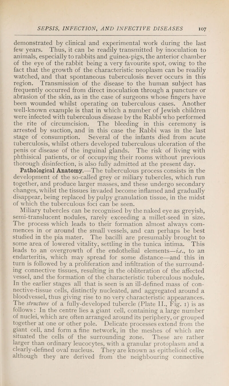 demonstrated by clinical and experimental work during the last few years. Thus, it can be readily transmitted by inoculation to animals, especially to rabbits and guinea-pigs, the anterior chamber of the eye of the rabbit being a very favourite spot, owing to the fact that the growth of the characteristic neoplasm can be readily watched, and that spontaneous tuberculosis never occurs in this region. Transmission of the disease to the human subject has frequently occurred from direct inoculation through a puncture or abrasion of the skin, as in the case of surgeons whose fingers have been wounded whilst operating on tuberculous cases. Another well-known example is that in which a number of Jewish children were infected with tuberculous disease by the Rabbi who performed the rite of circumcision. The bleeding in this ceremony is arrested by suction, and in this case the Rabbi was in the last stage of consumption. Several of the infants died from acute tuberculosis, whilst others developed tuberculous ulceration of the penis or disease of the inguinal glands. The risk of living with phthisical patients, or of occupying their rooms without previous thorough disinfection, is also fully admitted at the present day. Pathological Anatomy.—The tuberculous process consists in the development of the so-called grey or miliary tubercles, which run together, and produce larger masses, and these undergo secondary changes, whilst the tissues invaded become inflamed and gradually disappear, being replaced by pulpy granulation tissue, in the midst of which the tuberculous foci can be seen. Miliary tubercles can be recognised by the naked eye as greyish, semi-translucent nodules, rarely exceeding a millet-seed in size. The process which leads to their formation almost always com¬ mences in or around the small vessels, and can perhaps be best studied in the pia mater. The bacilli are presumably brought to some area of lowered vitality, settling in the tunica intima. This leads to an overgrowth of the endothelial elements—i.e., to an endarteritis, which may spread for some distance—and this in turn is followed by a proliferation and infiltration of the surround¬ ing connective tissues, resulting in the obliteration of the affected vessel, and the formation of the characteristic tuberculous nodule. In the earlier stages all that is seen is an ill-defined mass of con¬ nective-tissue cells, distinctly nucleated, and aggregated around a bloodvessel, thus giving rise to no very characteristic appearances. The structure of a fully-developed tubercle (Plate II., Fig. 1) is as follows : In the centre lies a giant cell, containing a large number of nuclei, which are often arranged around its periphery, or grouped together at one or other pole. Delicate processes extend from the giant cell, and form a fine network, in the meshes of which are situated the cells of the surrounding zone. These are rather larger than ordinary leucocytes, with a granular protoplasm and a clearly-defined oval nucleus. They are known as epithelioid cells, although they are derived from the neighbouring connective