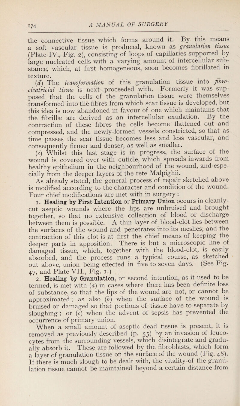 the connective tissue which forms around it. By this means a soft vascular tissue is produced, known as granulation tissue (Plate IV., Fig. 2), consisting of loops of capillaries supported by large nucleated cells with a varying amount of intercellular sub¬ stance, which, at first homogeneous, soon becomes fibrillated in texture. (d) The transformation of this granulation tissue, into fibro- cicatricial tissue is next proceeded with. Formerly it was sup¬ posed that the cells of the granulation tissue were themselves transformed into the fibres from which scar tissue is developed, but this idea is now abandoned in favour of one which maintains that the fibrillae are derived as an intercellular exudation. By the contraction of these fibres the cells become flattened out and compressed, and the newly-formed vessels constricted, so that as time passes the scar tissue becomes less and less vascular, and consequently firmer and denser, as well as smaller. (e) Whilst this last stage is in progress, the surface of the wound is covered over with cuticle, which spreads inwards from healthy epithelium in the neighbourhood of the wound, and espe¬ cially from the deeper layers of the rete Malpighii. As already stated, the general process of repair sketched above is modified according to the character and condition of the wound. Four chief modifications are met with in surgery : 1. Healing by First Intention or Primary Union occurs in cleanly- cut aseptic wounds where the lips are unbruised and brought together, so that no extensive collection of blood or discharge between them is possible. A thin layer of blood-clot lies between the surfaces of the wound and penetrates into its meshes, and the contraction of this clot is at first the chief means of keeping the deeper parts in apposition. There is but a microscopic line of damaged tissue, which, together with the blood-clot, is easily absorbed, and the process runs a typical course, as sketched out above, union being effected in five to seven days. (See Fig. 47, and Plate VII., Fig. 1.) 2. Healing by Granulation, or second intention, as it used to be termed, is met with (a) in cases where there has been definite loss of substance, so that the lips of the wound are not, or cannot be approximated; as also (b) when the surface of the wound is bruised or damaged so that portions of tissue have to separate by sloughing ; or (c) when the advent of sepsis has prevented the occurrence of primary union. When a small amount of aseptic dead tissue is present, it is removed as previously described (p. 55) by an invasion of leuco¬ cytes from the surrounding vessels, which disintegrate and gradu¬ ally absorb it. These are followed by the fibroblasts, which form a layer of granulation tissue on the surface of the wound (Fig. 48). If there is much slough to be dealt with, the vitality-of the granu¬ lation tissue cannot be maintained beyond a certain distance from