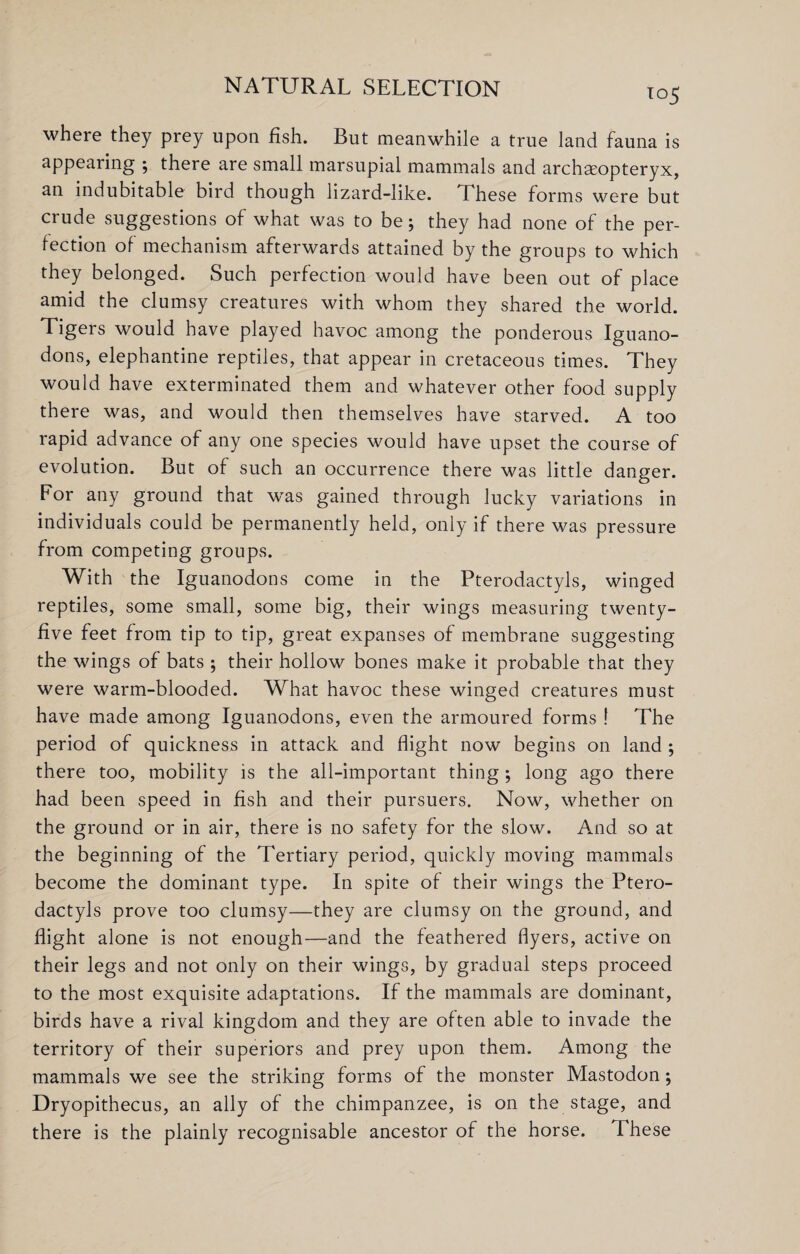 T°5 where they prey upon fish. But meanwhile a true land fauna is appealing ; there are small marsupial mammals and archaeopteryx, an indubitable bird though lizard-like. Lhese forms were but crude suggestions of what was to be; they had none of the per¬ fection of mechanism afterwards attained by the groups to which they belonged. Such perfection would have been out of place amid the clumsy creatures with whom they shared the world. Tigers would have played havoc among the ponderous Iguano- dons, elephantine reptiles, that appear in cretaceous times. They would have exterminated them and whatever other food supply there was, and would then themselves have starved. A too rapid advance of any one species would have upset the course of evolution. But of such an occurrence there was little danger. For any ground that was gained through lucky variations in individuals could be permanently held, only if there was pressure from competing groups. With the Iguanodons come in the Pterodactyls, winged reptiles, some small, some big, their wings measuring twenty- five feet from tip to tip, great expanses of membrane suggesting the wings of bats ; their hollow bones make it probable that they were warm-blooded. What havoc these winged creatures must have made among Iguanodons, even the armoured forms ! The period of quickness in attack and flight now begins on land ; there too, mobility is the all-important thing; long ago there had been speed in fish and their pursuers. Now, whether on the ground or in air, there is no safety for the slow. And so at the beginning of the Tertiary period, quickly moving mammals become the dominant type. In spite of their wings the Ptero¬ dactyls prove too clumsy—they are clumsy on the ground, and flight alone is not enough—and the feathered flyers, active on their legs and not only on their wings, by gradual steps proceed to the most exquisite adaptations. If the mammals are dominant, birds have a rival kingdom and they are often able to invade the territory of their superiors and prey upon them. Among the mammals we see the striking forms of the monster Mastodon; Dryopithecus, an ally of the chimpanzee, is on the stage, and there is the plainly recognisable ancestor of the horse. These