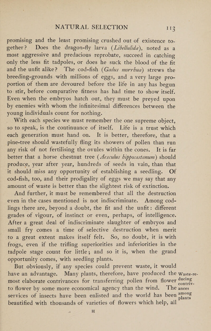 lr3 promising and the least promising crushed out of existence to¬ gether? Does the dragon-fly larva (.Libellulid'*), noted as a most aggressive and predacious reprobate, succeed in catching only the less fit tadpoles, or does he suck the blood of the fit and the unfit alike? The cod-fish (Gadus morrhua) strews the breeding-grounds with millions of eggs, and a very large pro¬ portion of them are devoured before the life in any has begun to stir, before comparative fitness has had time to show itself. Even when the embryos hatch out, they must be preyed upon by enemies with whom the infinitesimal differences between the young individuals count for nothing. With each species we must remember the one supreme object, so to speak, is the continuance of itself. Life is a trust which each generation must hand on. It is better, therefore, that a pine-tree should wastefully fling its showers of pollen than run any risk of not fertilising the ovules within the cones. It is far better that a horse chestnut tree (Aesculus hippocastanum) should produce, year after year, hundreds of seeds in vain, than that it should miss any opportunity of establishing a seedling. Of cod-fish, too, and their prodigality of eggs we may say that any amount of waste is better than the slightest risk of extinction. And further, it must be remembered that all the destruction even in the cases mentioned is not indiscriminate. Among cod¬ lings there are, beyond a doubt, the fit and the unfit: different grades of vigour, of instinct or even, perhaps, of intelligence. After a great deal of indiscriminate slaughter of embryos and small fry comes a time of selective destruction when merit to a great extent makes itself felt. So, no doubt, it is with frogs, even if the trifling superiorities and inferiorities in the tadpole stage count for little; and so it is, when the grand opportunity comes, with seedling plants. But obviously, if any species could prevent waste, it would have an advantage. Many plants, therefore, have produced the Waste-re- most elaborate contrivances for transferring pollen from flower to flower by some more economical agency than the wind. The ances services of insects have been enlisted and the world has been beautified with thousands of varieties of flowers which help, all H