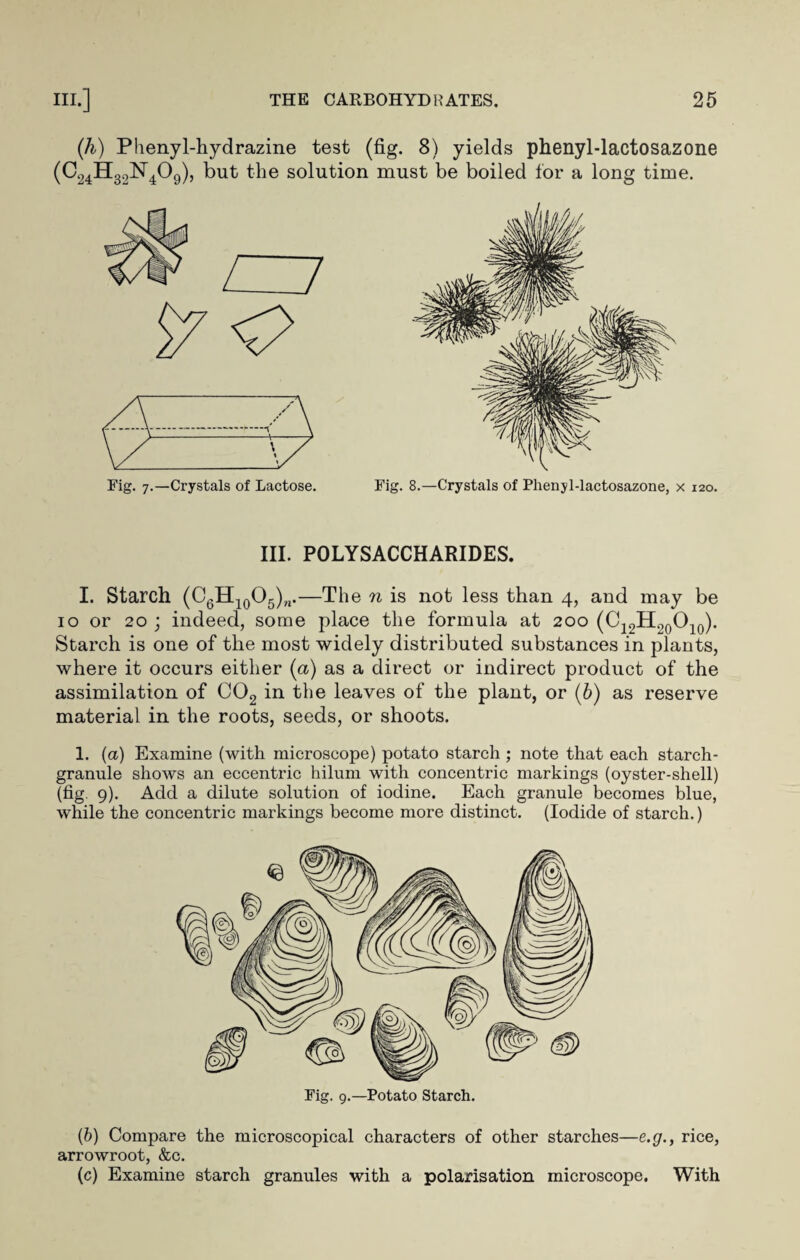 (h) Phenyl-hydrazine test (fig. 8) yields phenyl-lactosazone (C24H32N409), but the solution must be boiled for a long time. Fig. 7.—Crystals of Lactose. III. POLYSACCHARIDES. I. Starch (C6H10O5)n.—The n is not less than 4, and may be 10 or 20 ; indeed, some place the formula at 200 (C12H20O10). Starch is one of the most widely distributed substances in plants, where it occurs either (a) as a direct or indirect product of the assimilation of C02 in the leaves of the plant, or (6) as reserve material in the roots, seeds, or shoots. 1. (a) Examine (with microscope) potato starch ; note that each starch- granule shows an eccentric hilum with concentric markings (oyster-shell) (fig. 9). Add a dilute solution of iodine. Each granule becomes blue, while the concentric markings become more distinct. (Iodide of starch.) Fig. 9.—Potato Starch. (b) Compare the microscopical characters of other starches—e.g., rice, arrowroot, &c. (c) Examine starch granules with a polarisation microscope. With