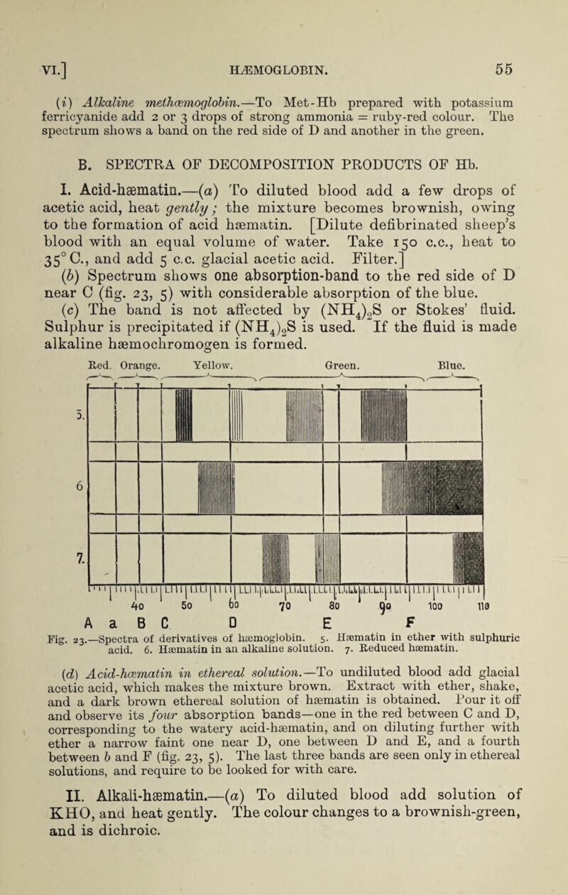 (i) Alkaline melhcemoglobin.—To Met-Hb prepared with potassium ferricyanide add 2 or 3 drops of strong ammonia = ruby-red colour. The spectrum shows a band on the red side of D and another in the green. B. SPECTRA OF DECOMPOSITION PRODUCTS OF Hb. I. Acid-haematin.—(a) To diluted blood add a few drops of acetic acid, heat gently; the mixture becomes brownish, owing to the formation of acid hsematin. [Dilute defibrinated sheep’s blood with an equal volume of water. Take 150 c.c., heat to 35°C.j and add 5 c.c. glacial acetic acid. Filter.] (b) Spectrum shows one absorption-band to the red side of D near C (fig. 23, 5) with considerable absorption of the blue. (c) The band is not affected by (NH4)2S or Stokes’ fluid. Sulphur is precipitated if (NH4)2S is used. If the fluid is made alkaline hsemochromogen is formed. Red. Orange. Yellow. Green. Blue. 0. 6 7. A a B C D E F Fig. 23.—Spectra of derivatives of hsemoglobin. 5. Hsematin in ether with sulphuric acid. 6. Hsematin in an alkaline solution. 7. Reduced hsematin. {d) Acid-hcematin in ethereal solution.— To undiluted blood add glacial acetic acid, which makes the mixture brown. Extract with ether, shake, and a dark brown ethereal solution of hsematin is obtained. Pour it off and observe its four absorption bands—one in the red between C and D, corresponding to the watery acid-hsematin, and on diluting further with ether a narrow faint one near D, one between D and E, and a fourth between b and F (fig. 23, 5). The last three bands are seen only in ethereal solutions, and require to be looked for with care. II. Alkali-hsematin.—(a) To diluted blood add solution of KHO, and heat gently. The colour changes to a brownish-green, and is dichroic.