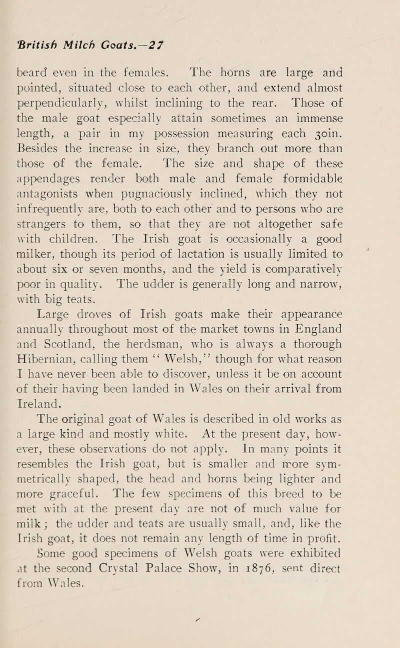 beard even in the females. The horns are large and pointed, situated close to each other, and extend almost perpendicularly, whilst inclining to the rear. Those of the male goat especially attain sometimes an immense length, a pair in my possession measuring each 30m. Besides the increase in size, they branch out more than those of the female. The size and shape of these appendages render both male and female formidable antagonists when pugnaciously inclined, which they not infrequently are, both to each other and to persons who are strangers to them, so that they are not altogether safe with children. The Irish goat is occasionally a good milker, though its period of lactation is usually limited to about six or seven months, and the yield is comparatively poor in quality. The udder is generally long and narrow, with big teats. Large droves of Irish goats make their appearance annually throughout most of the market towns in England and Scotland, the herdsman, who is always a thorough Hibernian, calling them “ Welsh,” though for what reason I have never been able to discover, unless it be on account of their having been landed in Wales on their arrival from Ireland. The original goat of Wales is described in old works as a large kind and mostly white. At the present day, how¬ ever, these observations do not apply. In many points it resembles the Irish goat, but is smaller and more sym¬ metrically shaped, the head and horns being lighter and more graceful. The few specimens of this breed to be met with at the present day are not of much value for milk; the udder and teats are usually small, and, like the Irish goat, it does not remain any length of time in profit. Some good specimens of Welsh goats were exhibited at the second Crystal Palace Show, in 1876, sent direct from Wales.