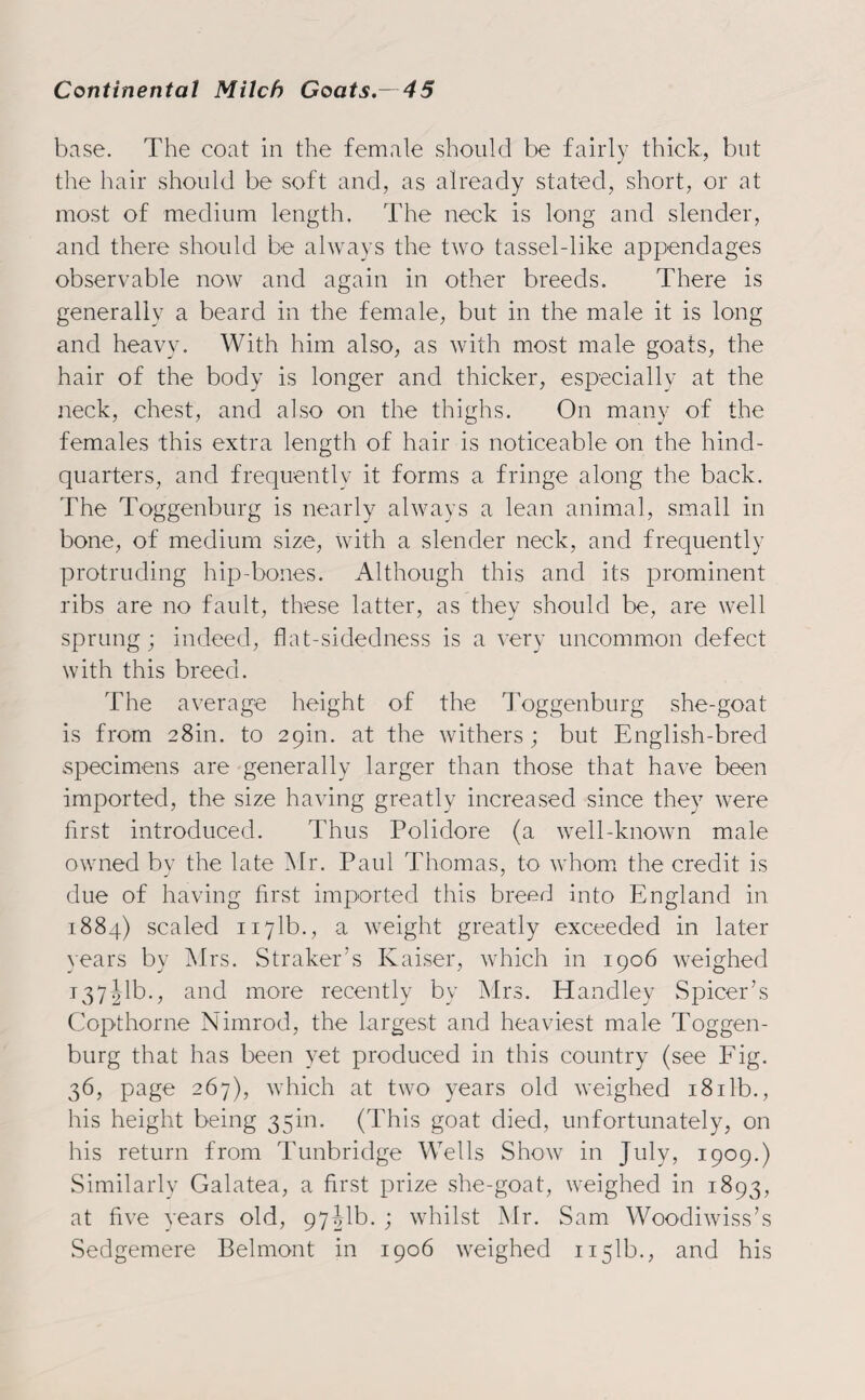 base. The coat in the female should be fairly thick, but the hair should be soft and, as already stated, short, or at most of medium length. The neck is long and slender, and there should be always the two tassel-like appendages observable now and again in other breeds. There is generally a beard in the female, but in the male it is long and heavy. With him also, as with most male goats, the hair of the body is longer and thicker, especially at the neck, chest, and also on the thighs. On many of the females this extra length of hair is noticeable on the hind¬ quarters, and frequently it forms a fringe along the back. The Toggenburg is nearly always a lean animal, small in bone, of medium size, with a slender neck, and frequently protruding hip-bones. Although this and its prominent ribs are no fault, these latter, as they should be, are well sprung; indeed, flat-sidedness is a very uncommon defect with this breed. The average height of the Toggenburg she-goat is from 28m. to 29m. at the withers; but English-bred specimens are generally larger than those that have been imported, the size having greatly increased since they were first introduced. Thus Polidore (a well-known male owned by the late Mr. Paul Thomas, to whom the credit is due of having first imported this breed into England in 1884) scaled 1171b., a weight greatly exceeded in later years by Mrs. Straker’s Kaiser, which in 1906 weighed 137Jib., and more recently by Mrs. Handley Spicer’s Copthorne Nimrod, the largest and heaviest male Toggen¬ burg that has been yet produced in this country (see Fig. 36, page 267), which at two years old weighed i8ilb., his height being 35m. (This goat died, unfortunately, on his return from Tunbridge Wells Show in July, 1909.) Similarly Galatea, a first prize she-goat, weighed in 1893, at five years old, 97Mb. ; whilst Mr. Sam Woodiwiss’s Sedgemere Belmont in 1906 weighed 1151b., and his